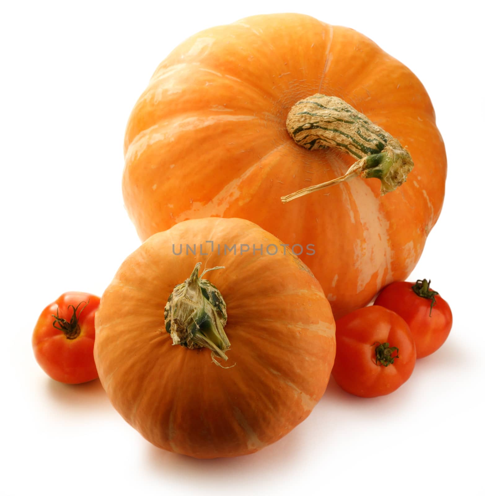 Pumpkins and tomatoes on white background