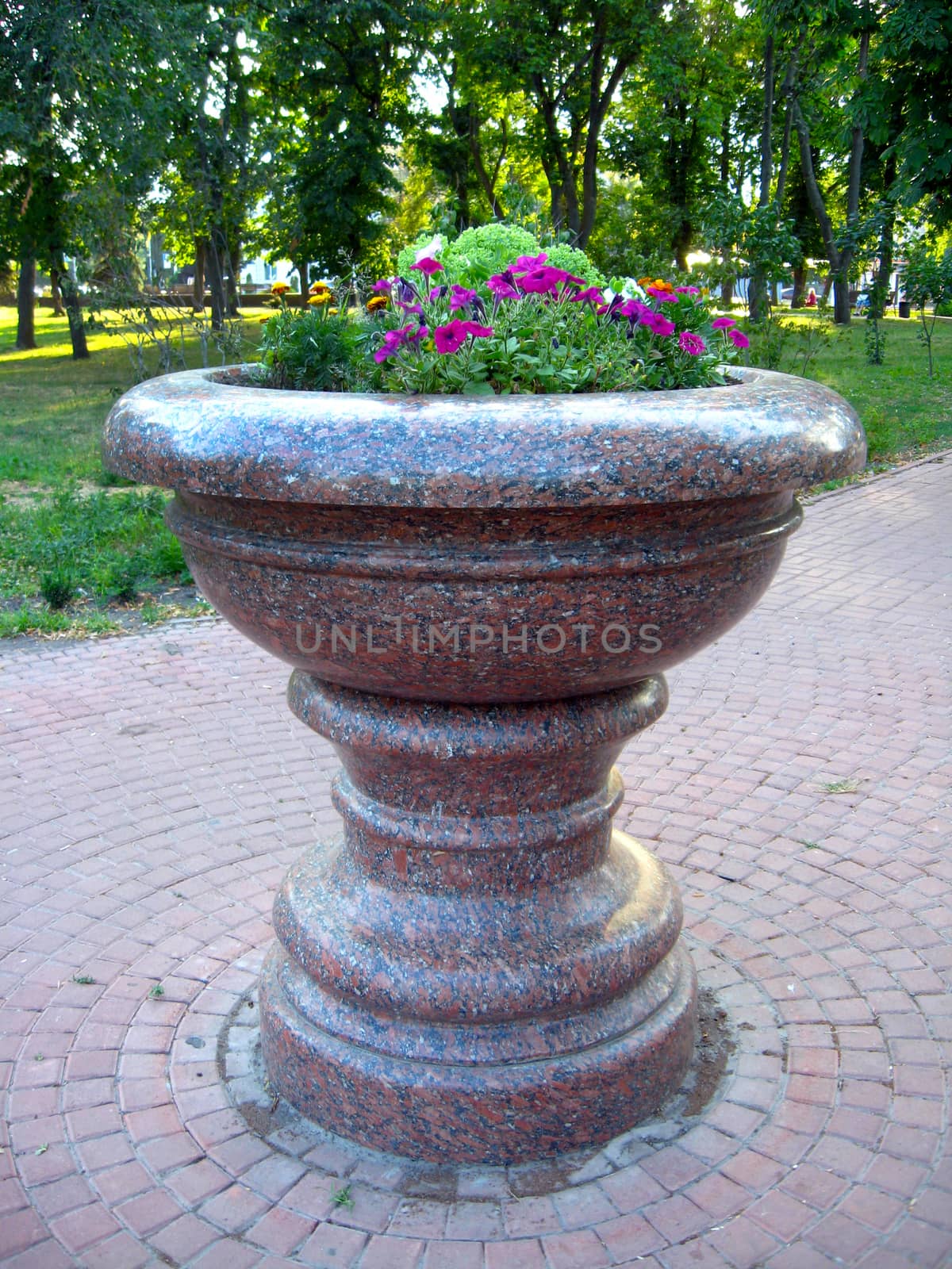 beautiful flowers on the flower-bed from marble by alexmak