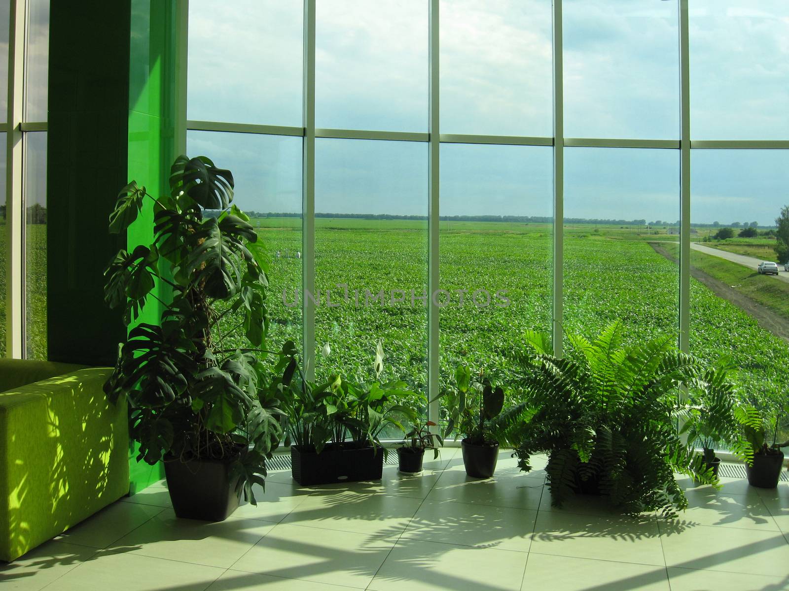 window of the office with view to green field