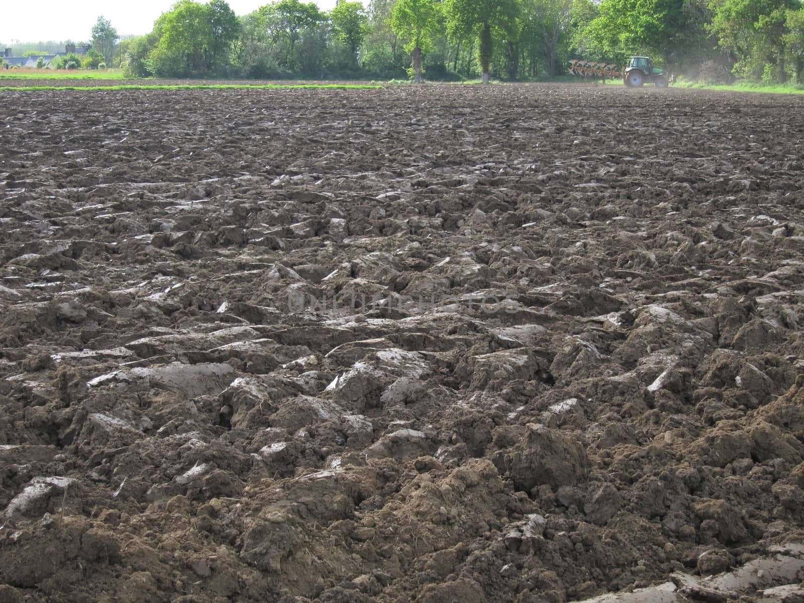 Ground before sown
