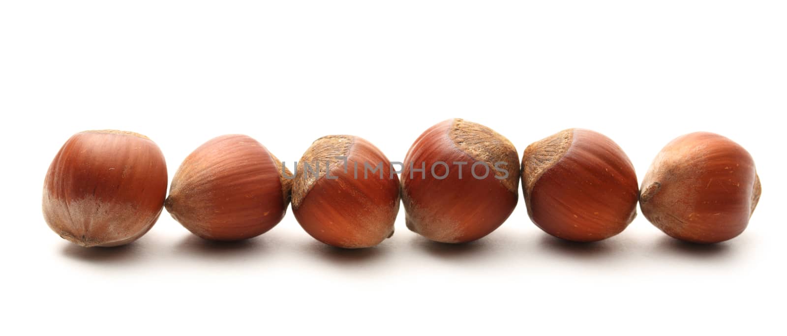 Fresh hazelnuts on white background