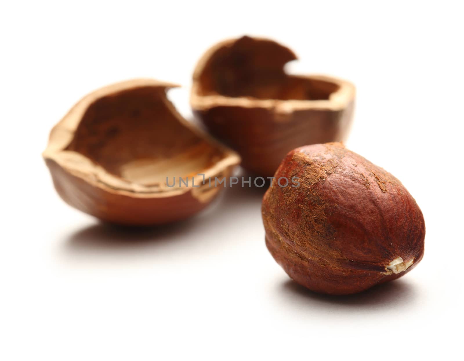 Whole and cracked hazelnuts by Garsya