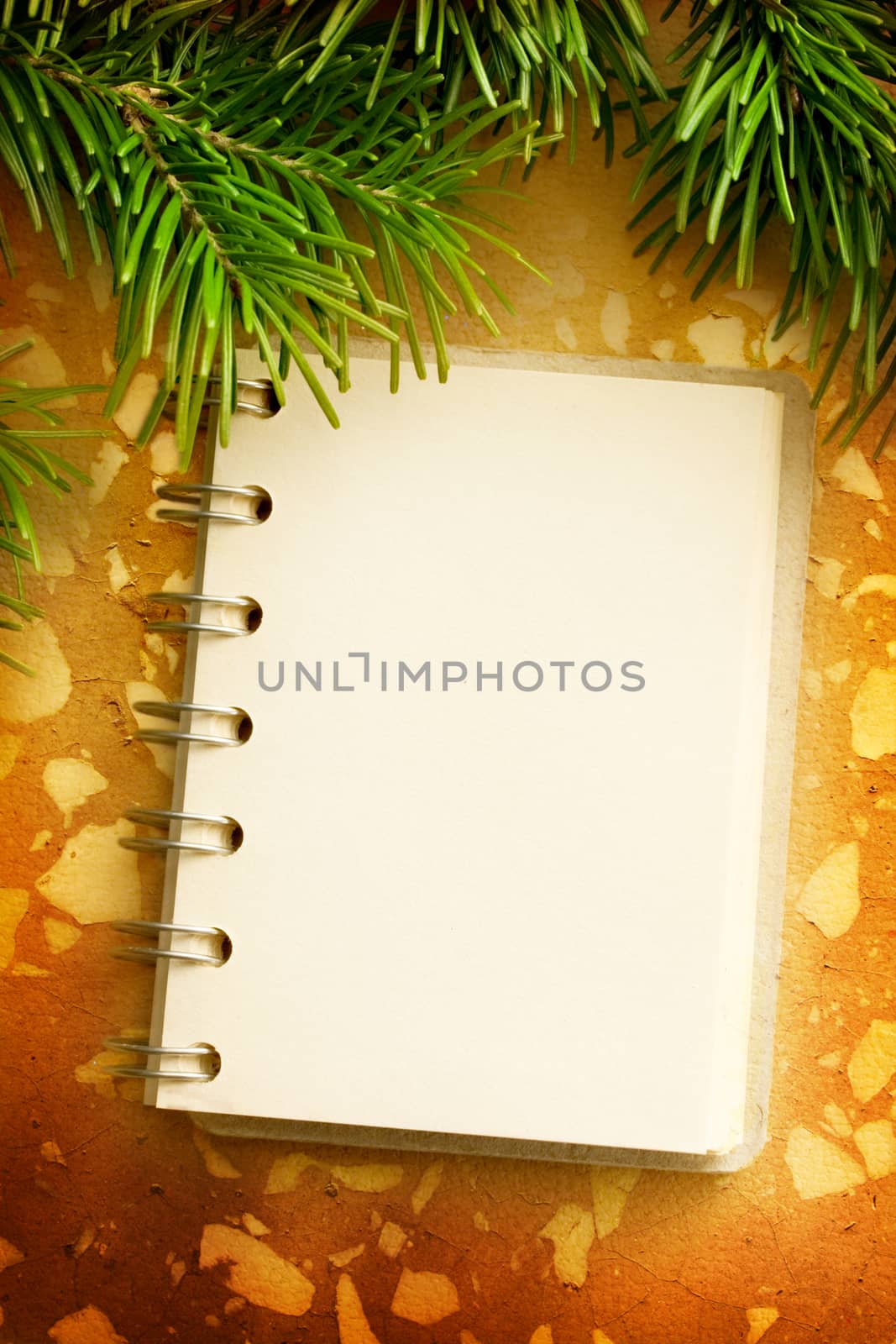 Christmas tree fir and notepad