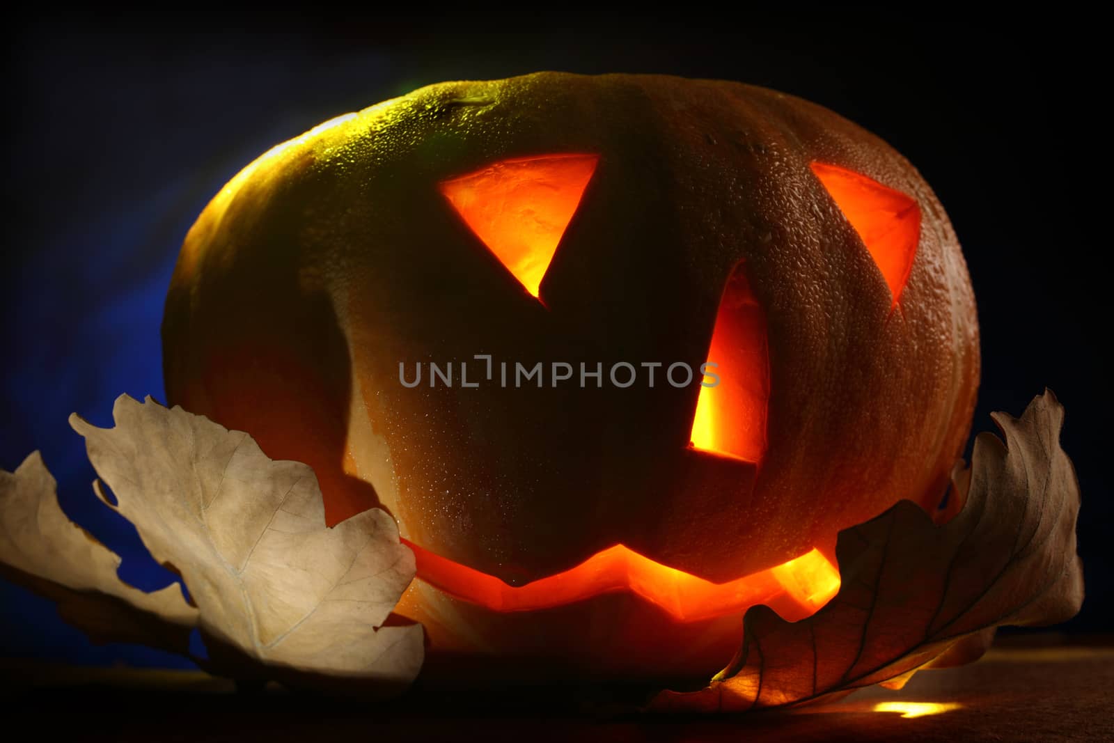 Halloween pumpkin on leaves at night
