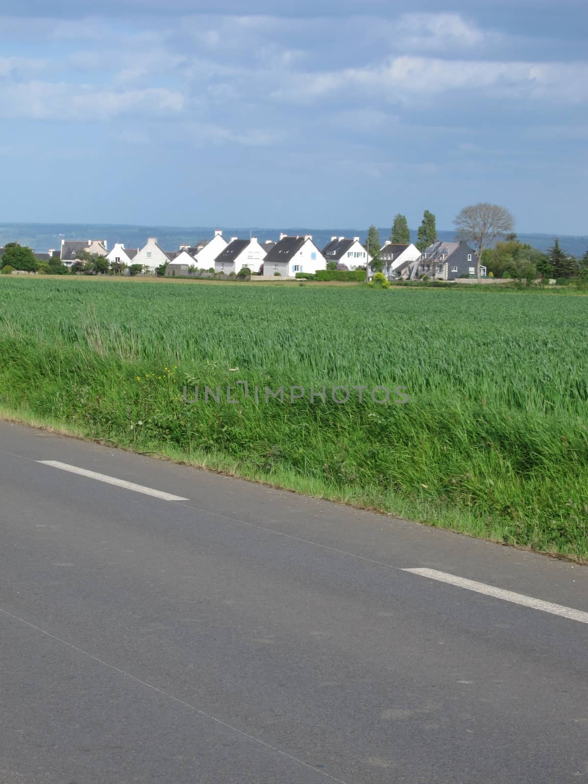 Country road
