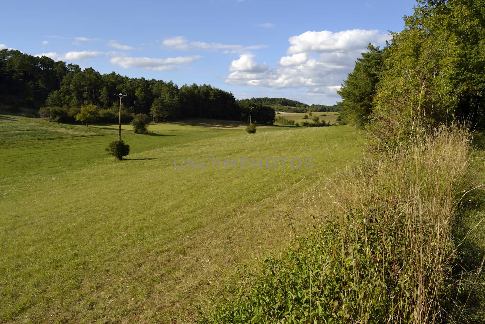 Meadow in the french countryside by ncuisinier