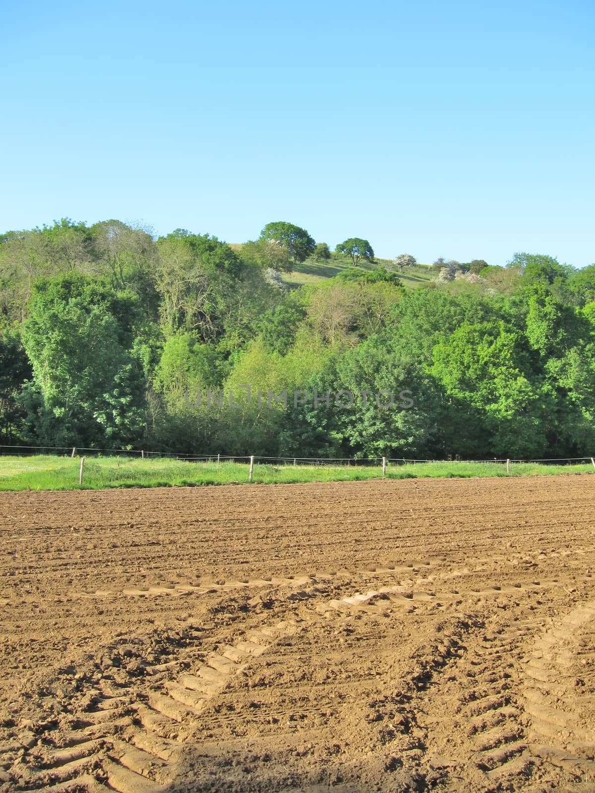 Ground before sown
