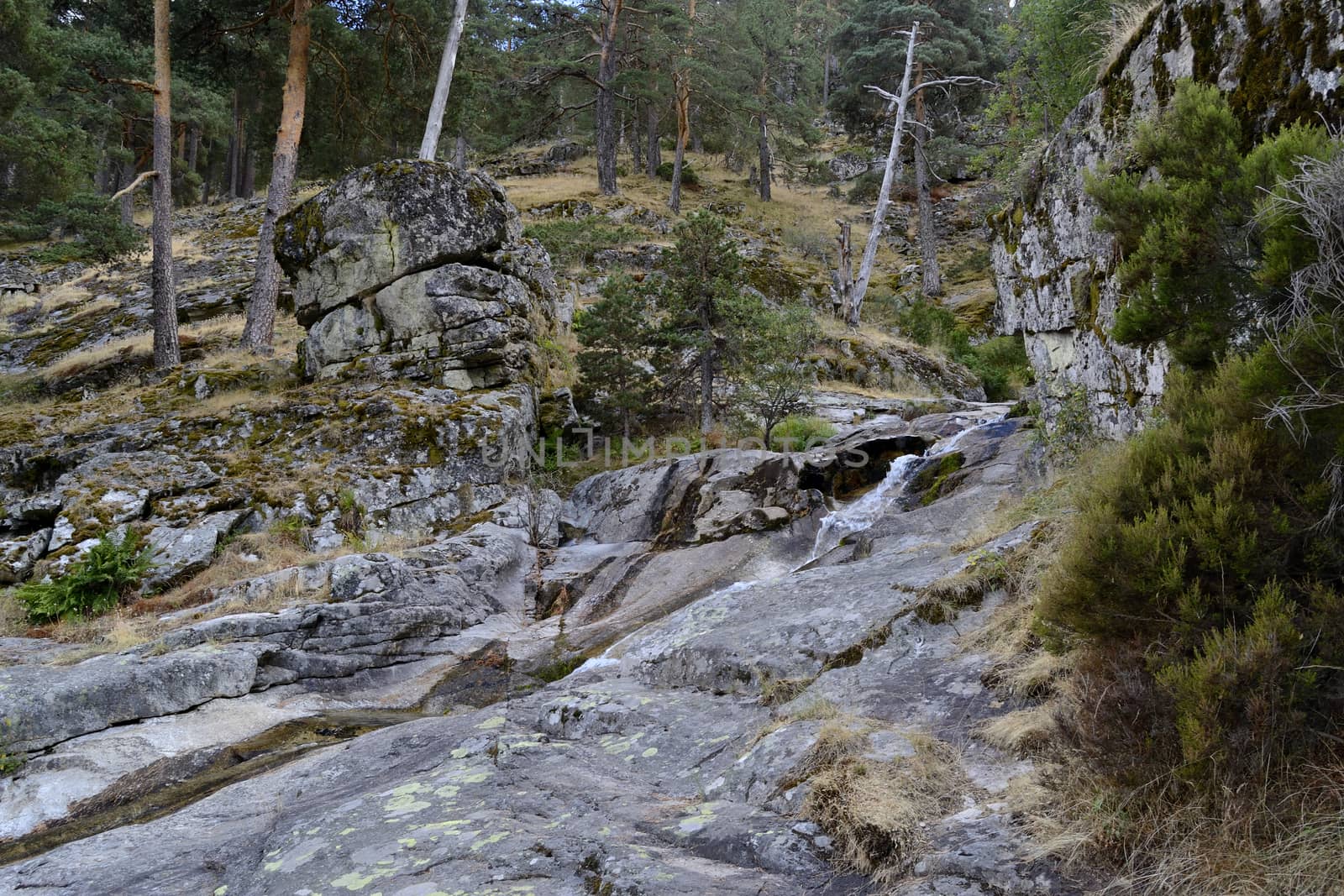 El chorro de Navafria, little mountain river