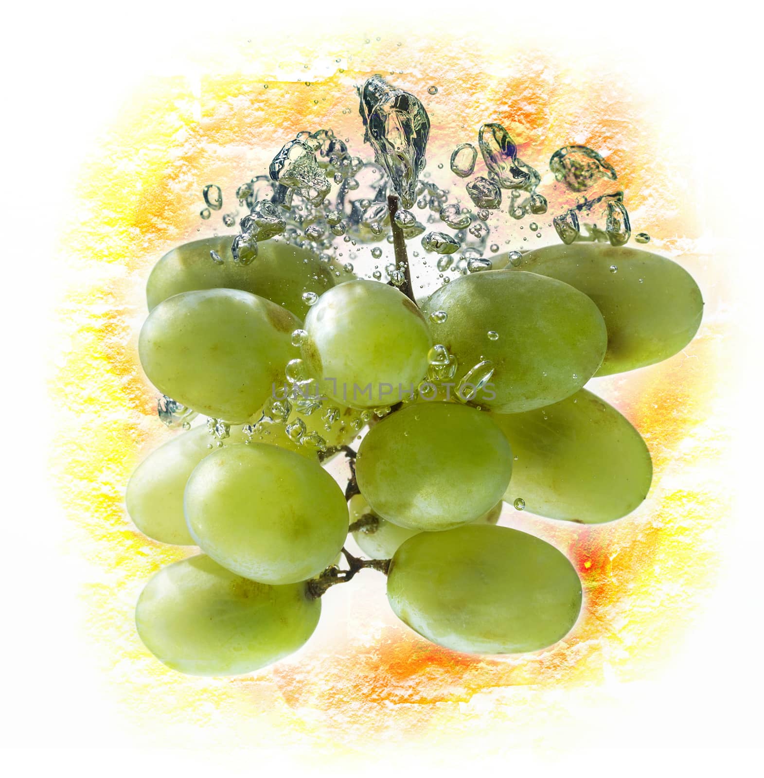 Green grape by Garsya
