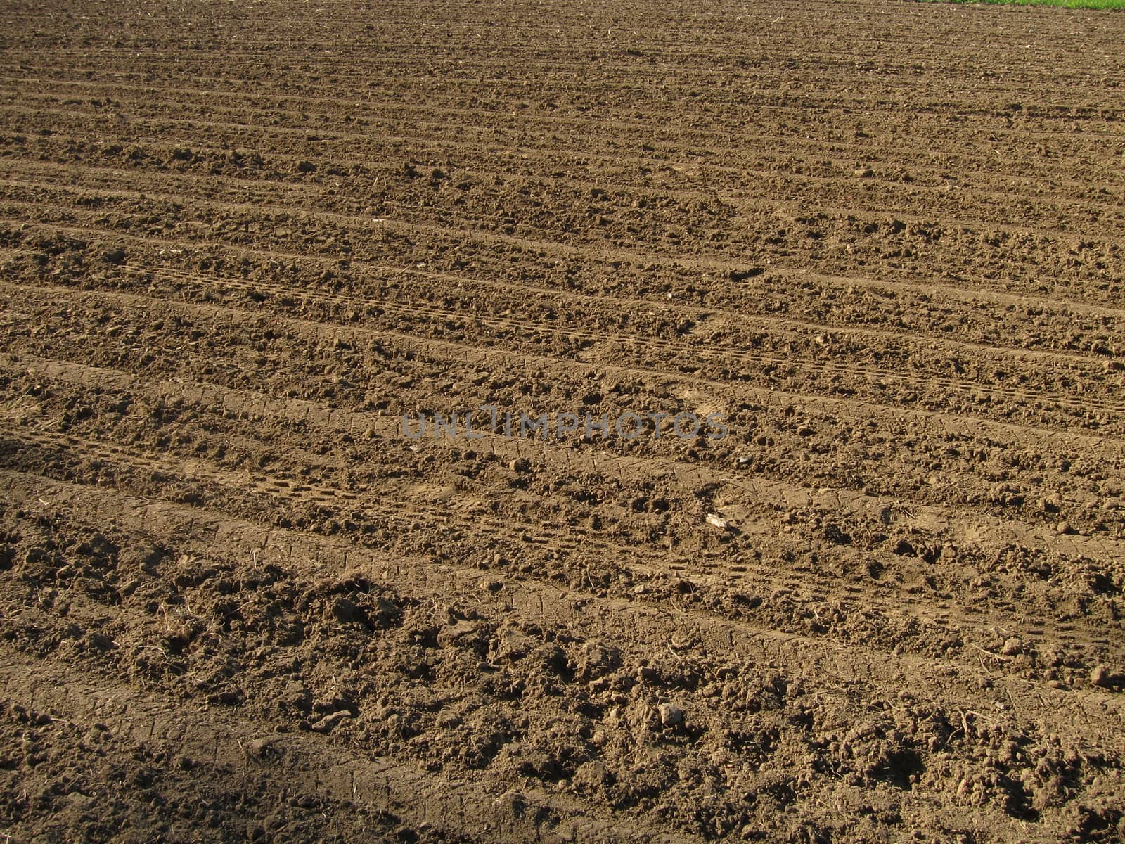 Ground before sown
