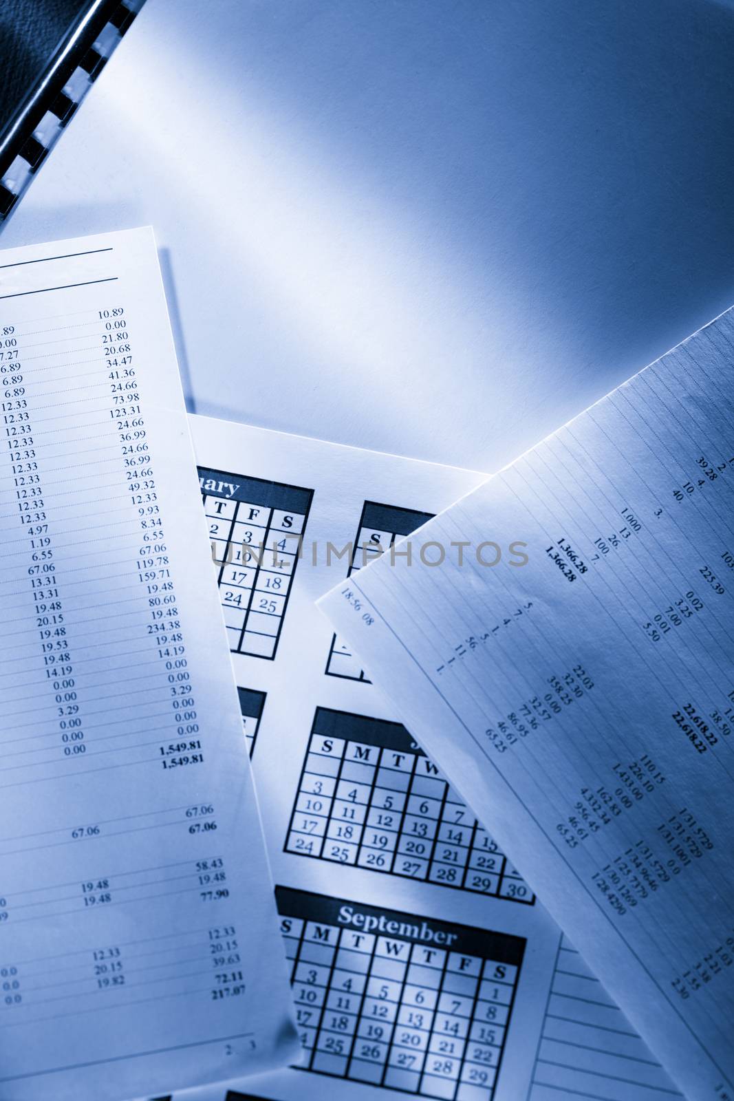 Operating budget and calendar by Garsya