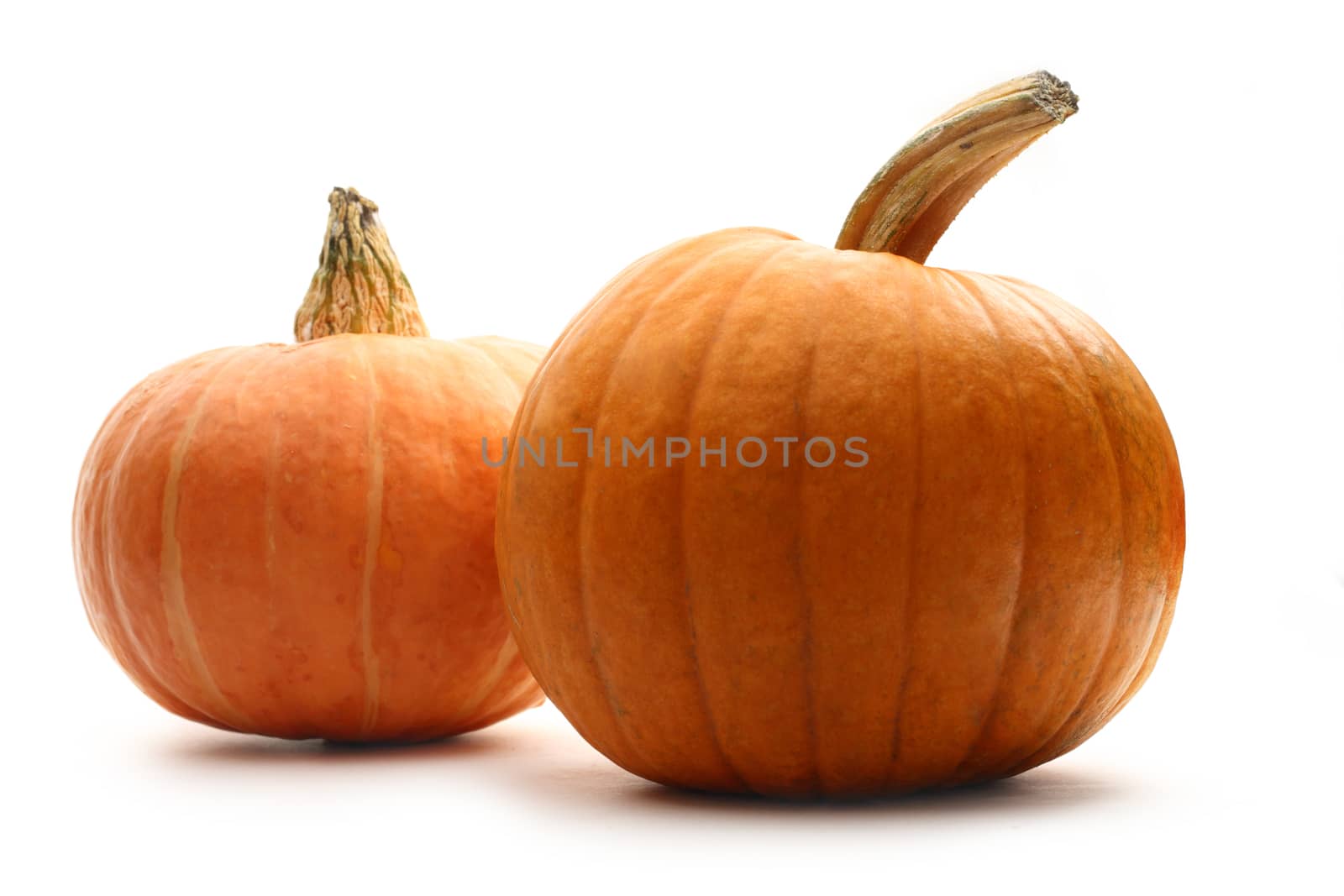 Pumpkins on the white background