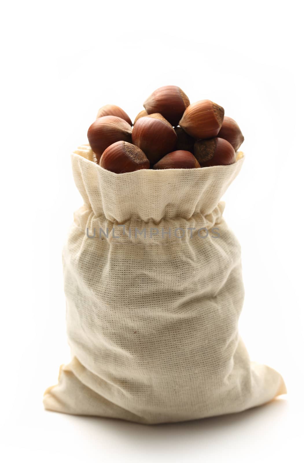 Fresh hazelnuts in a sack