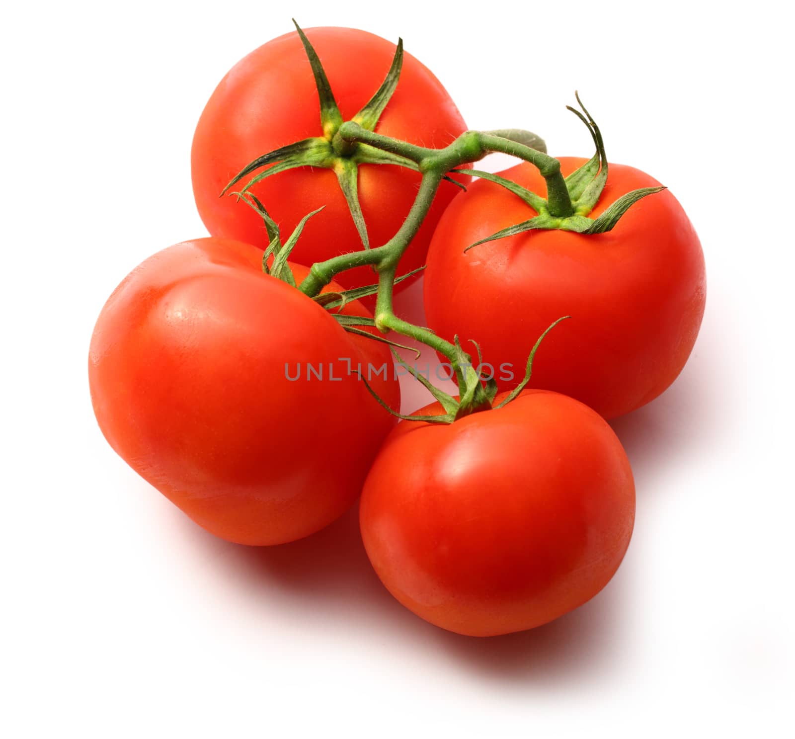 Tomatoes by Garsya