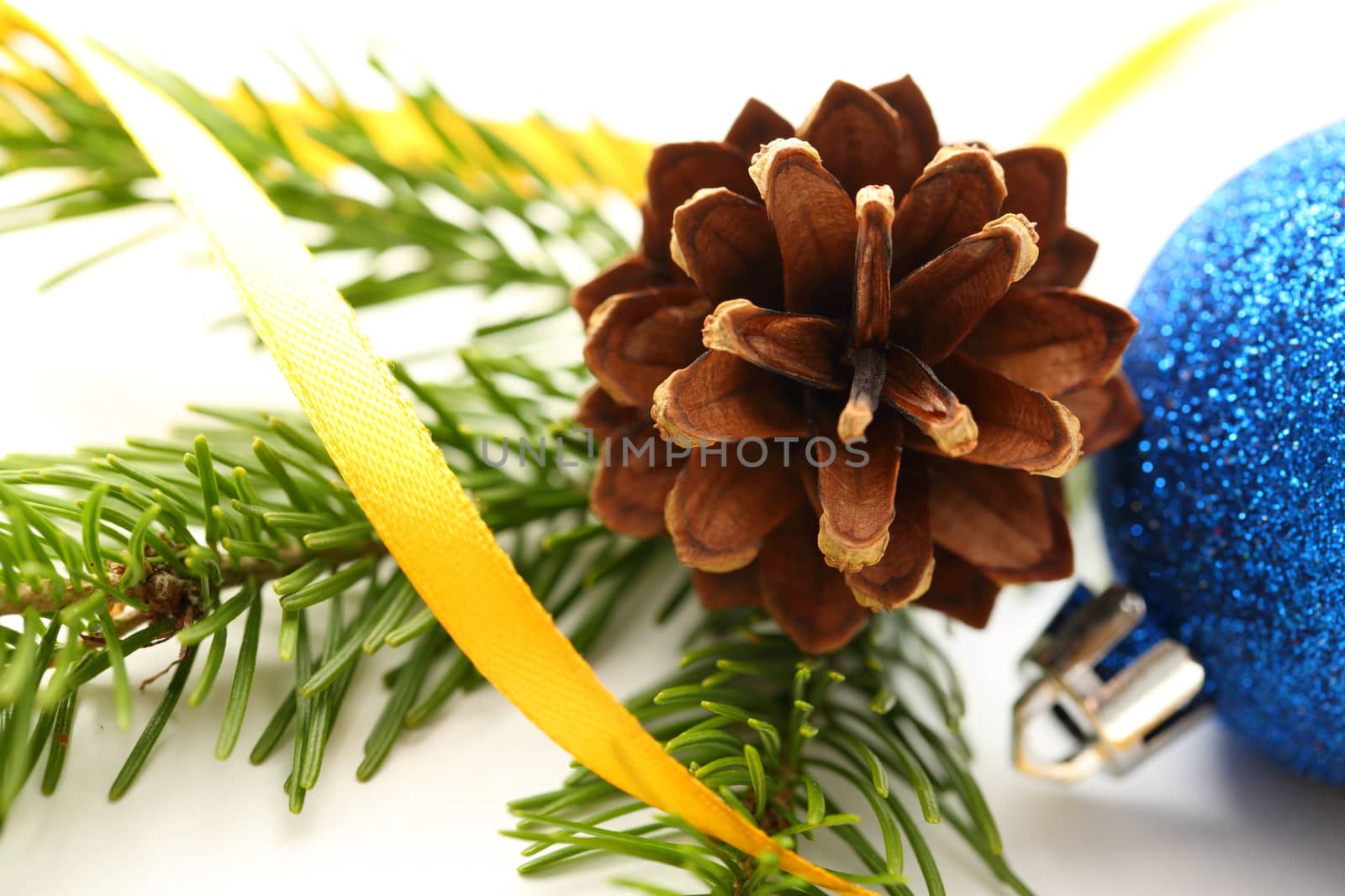 Twig of evergreen fir and cone