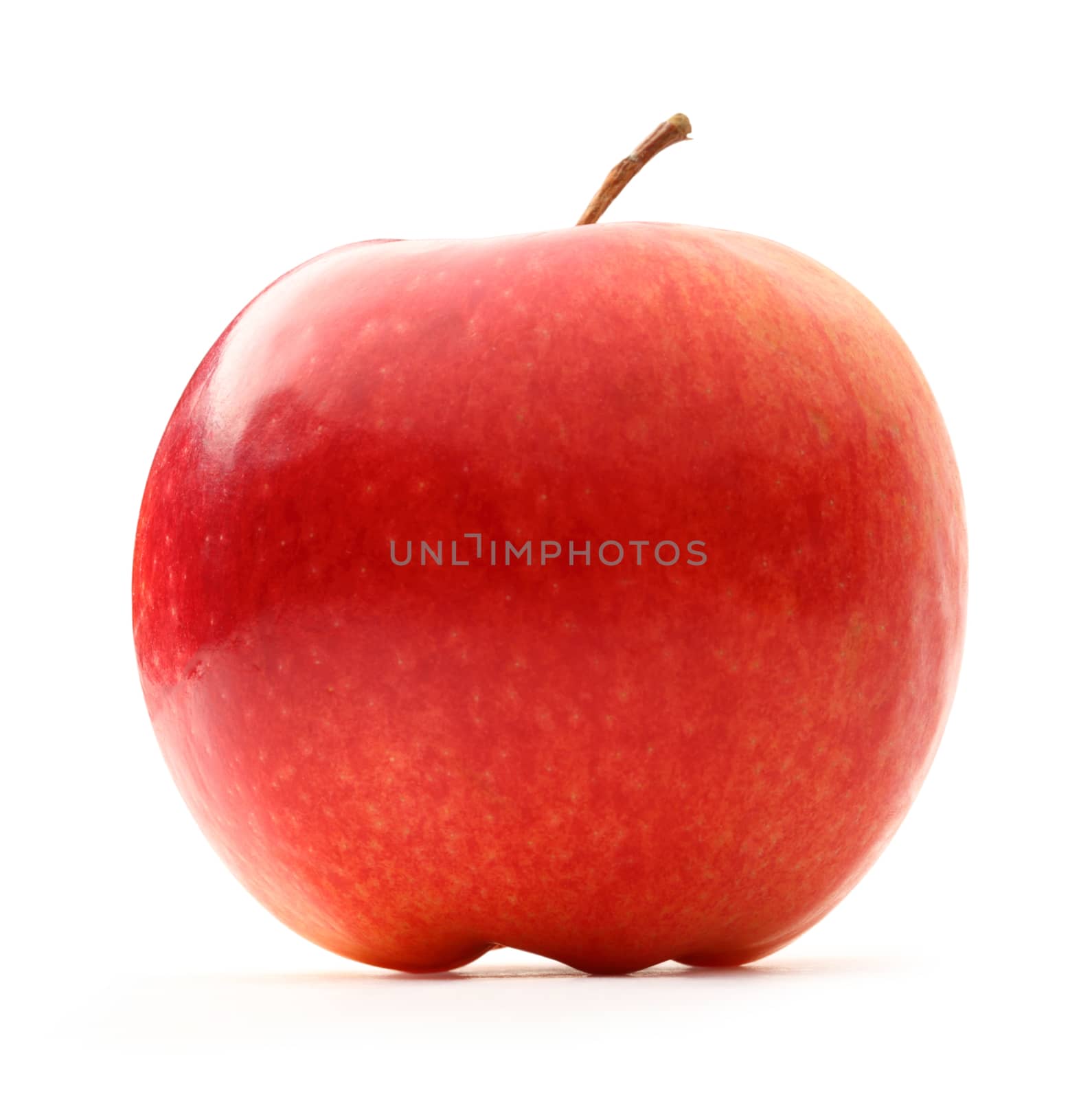 Red apple on the white