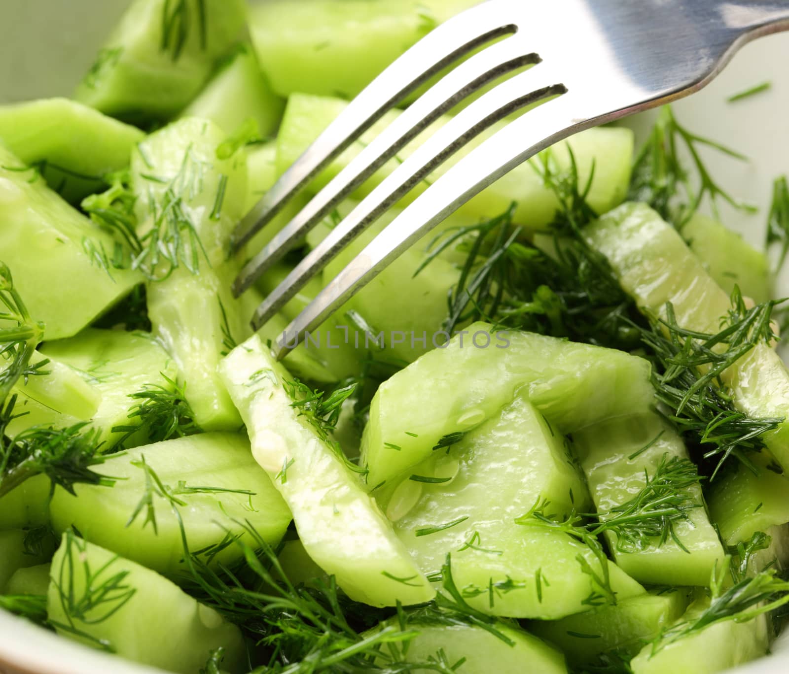 Green salad with cucumber and dill