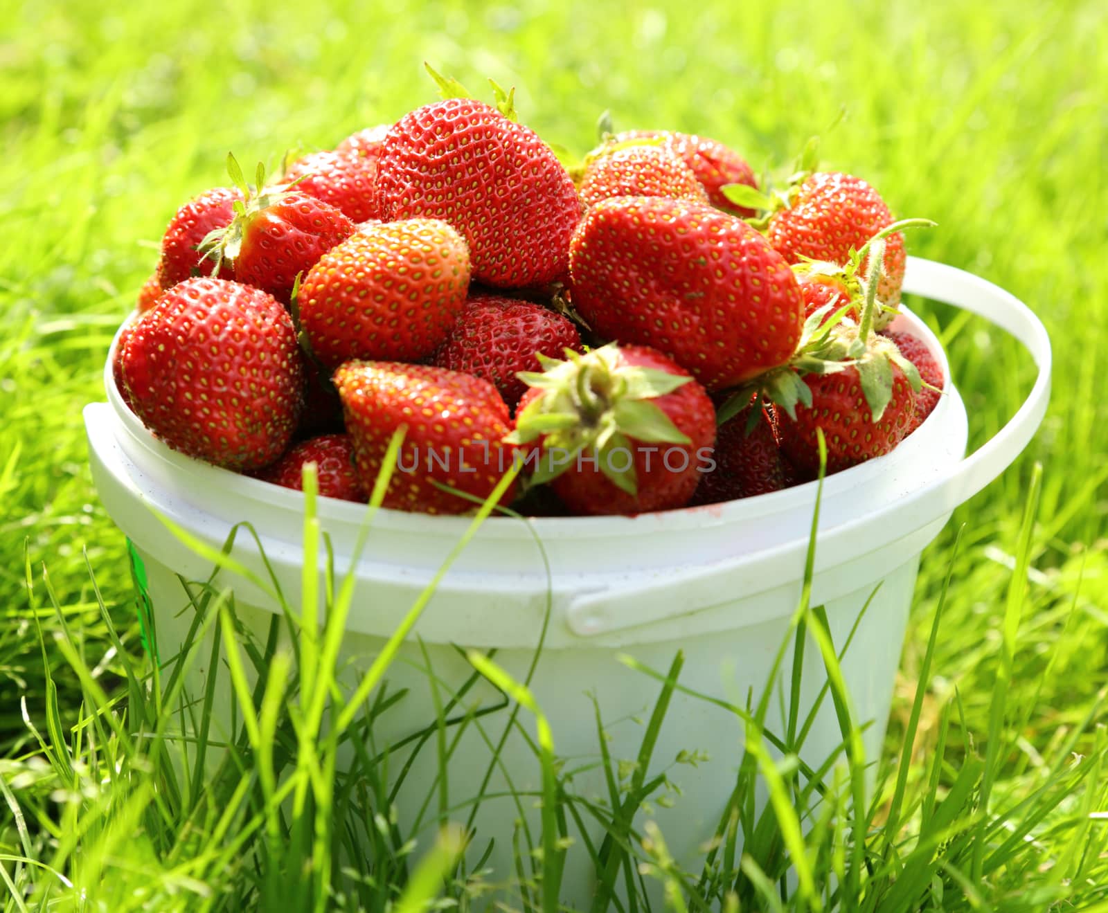 Ripe strawberry in basket on grass