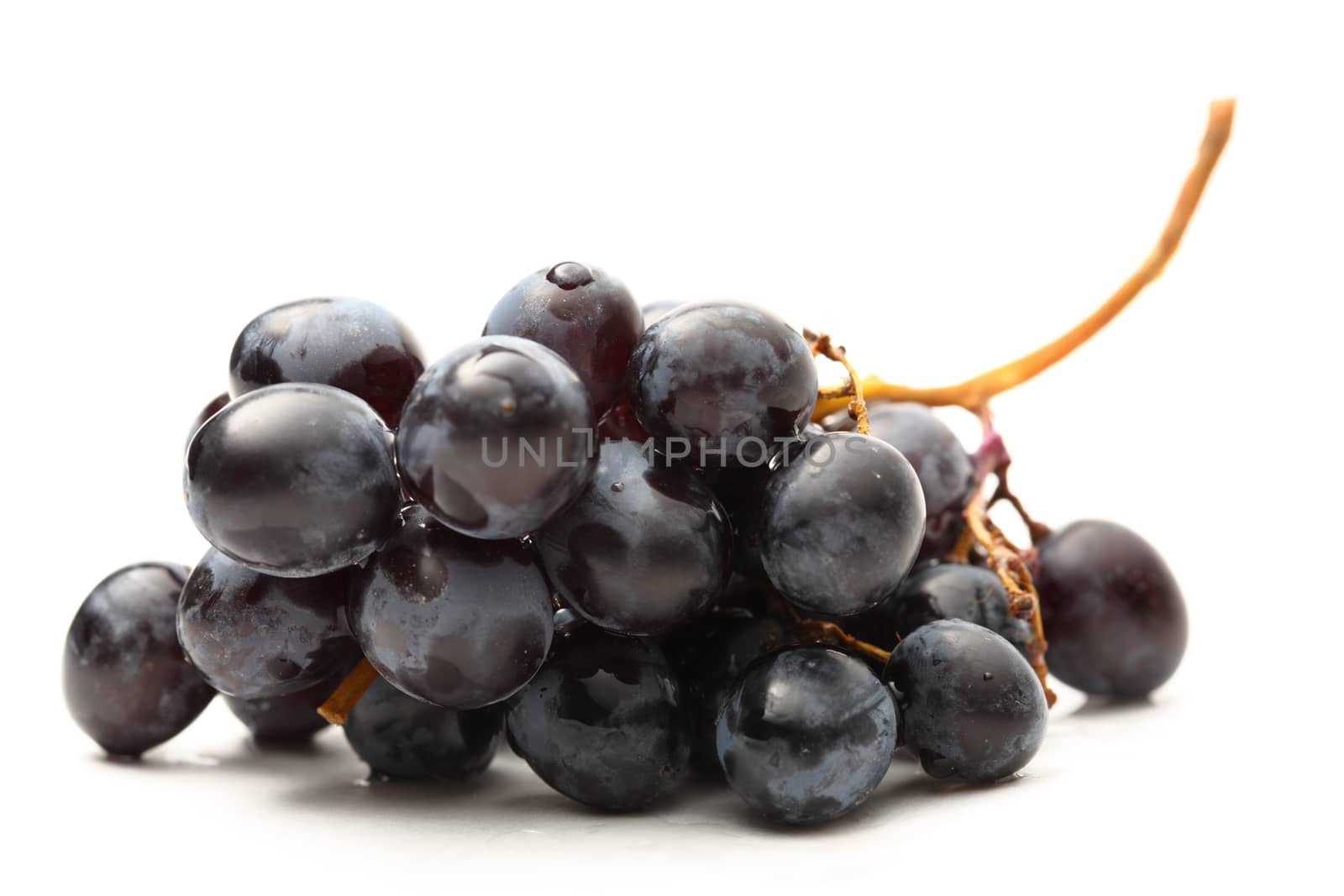 Black grape on the white background
