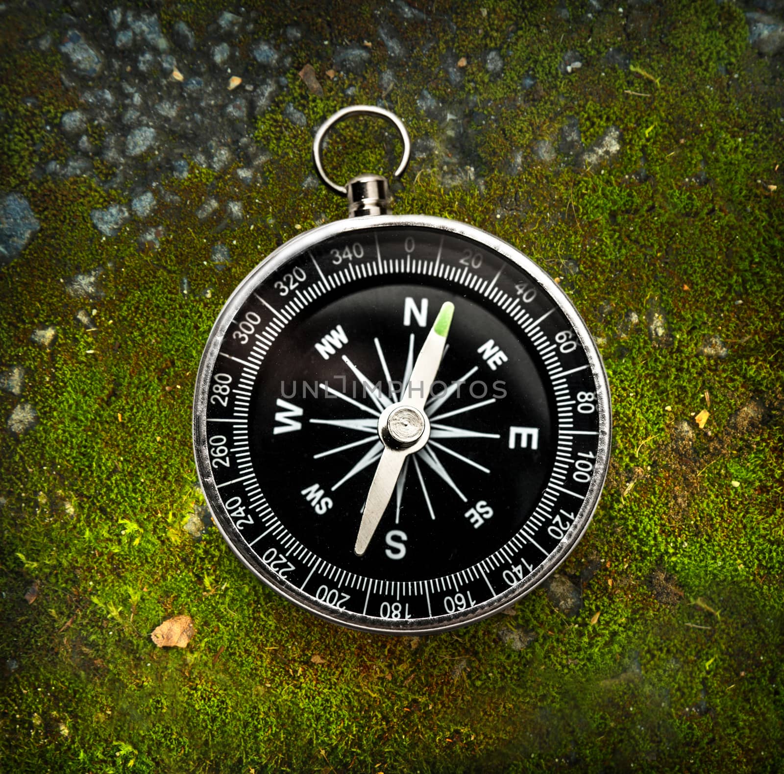 Compass on moss ground by Garsya