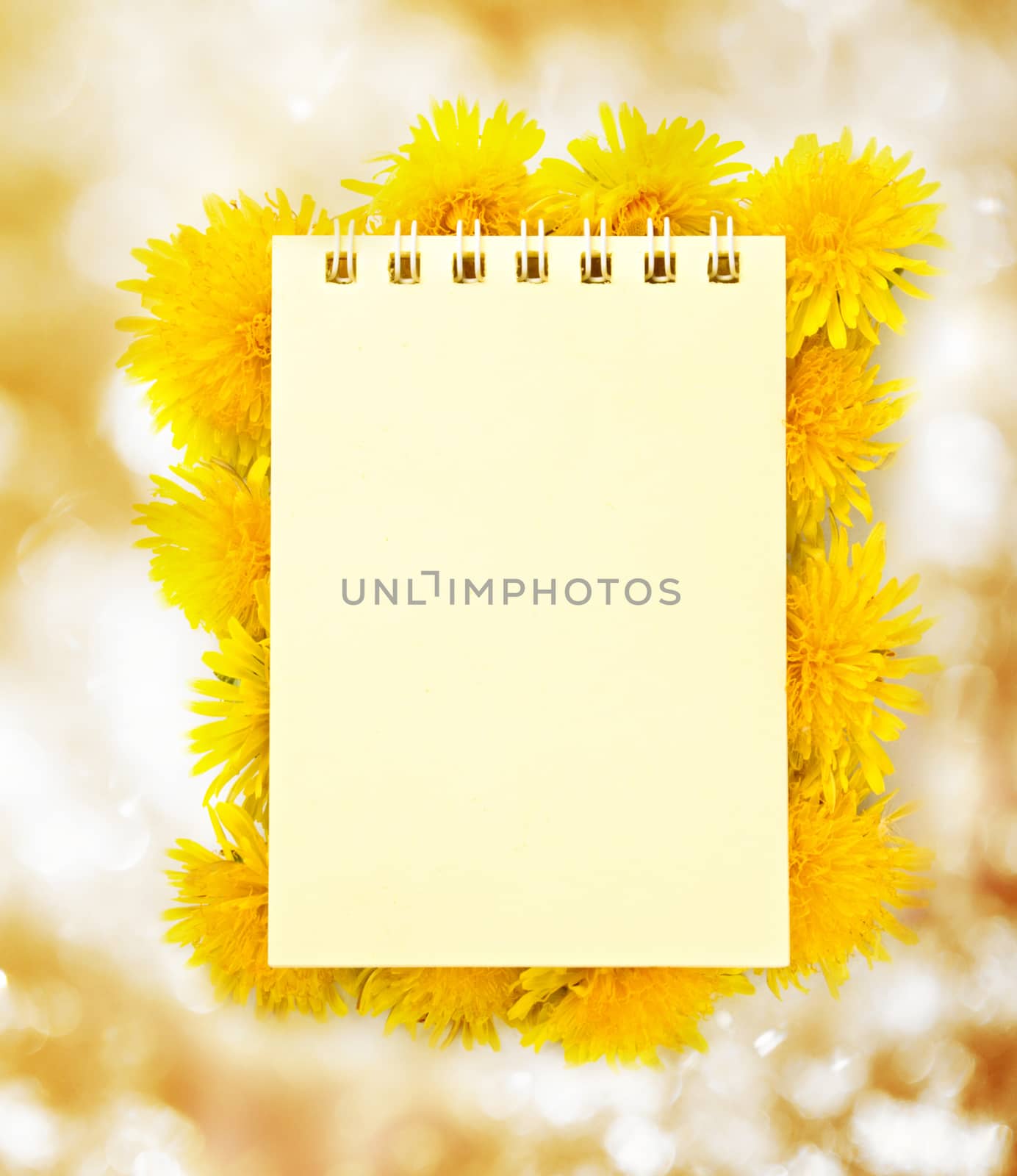 Notepad and flowers by Garsya