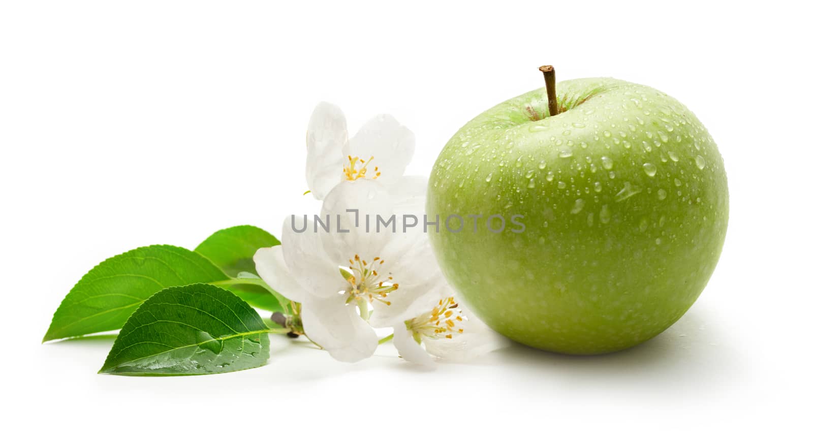 Green apple and flower on the white background