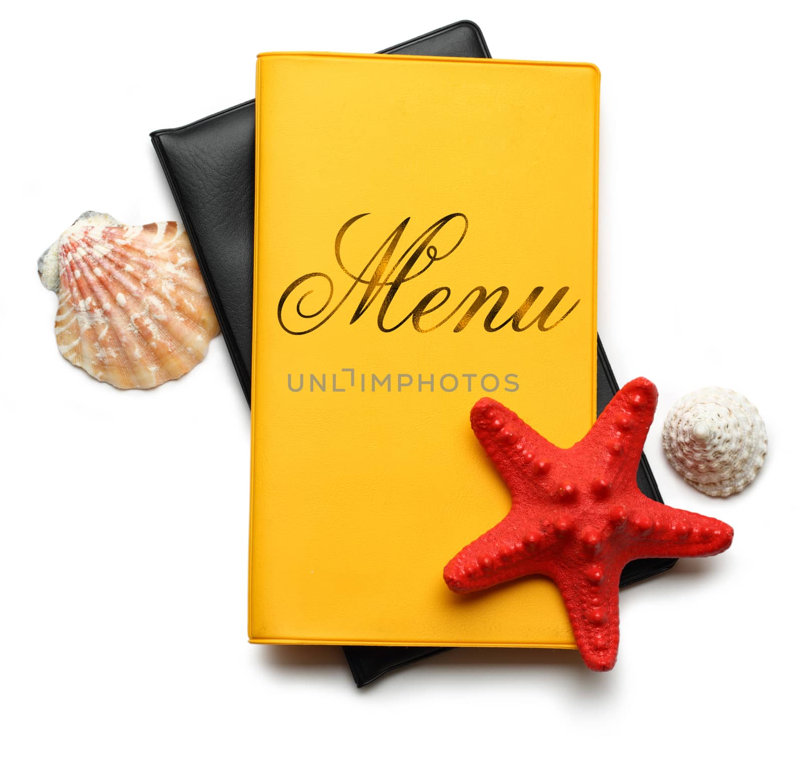 Seastar and seashells on menu book