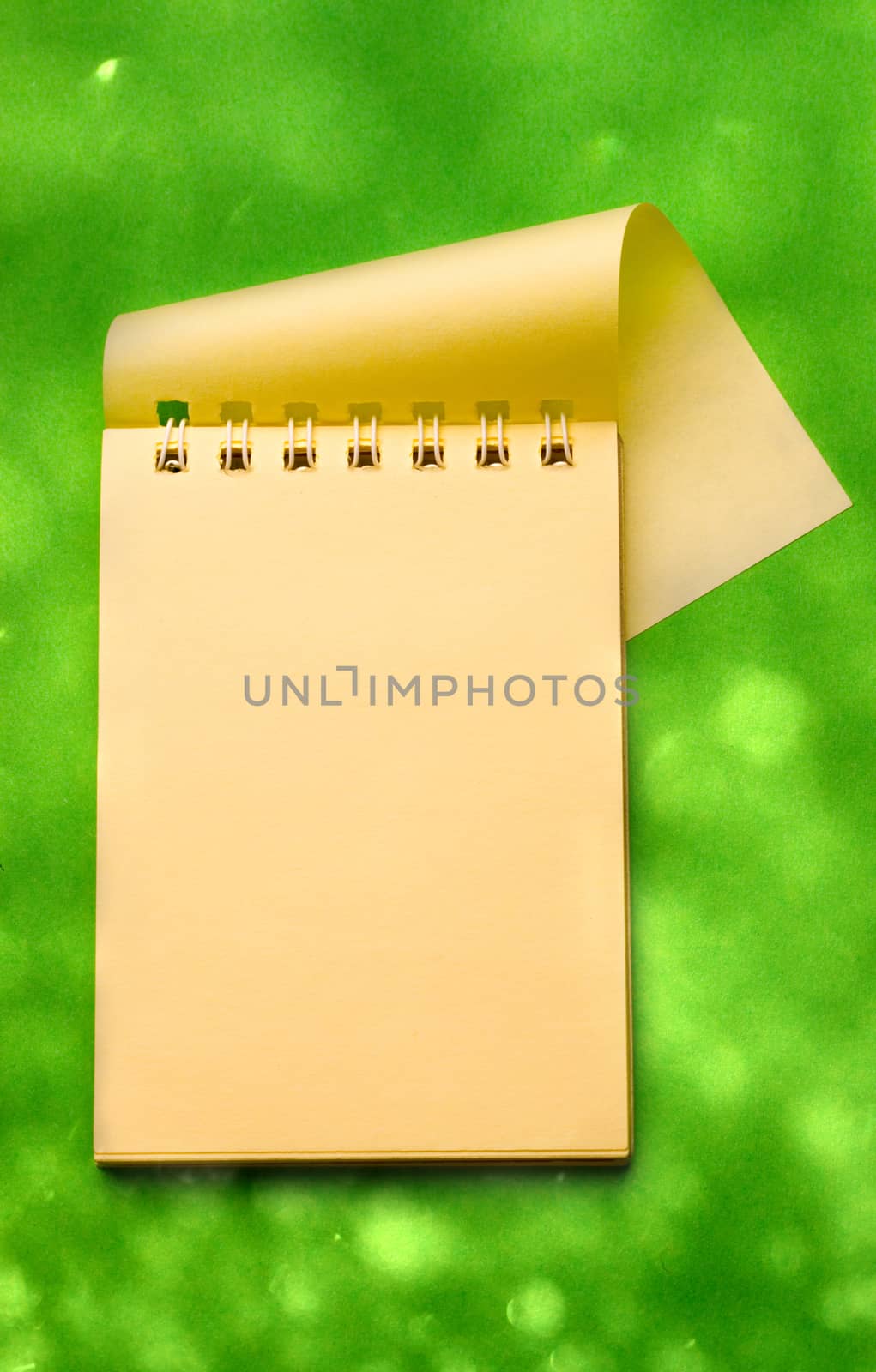 Notepad on green by Garsya
