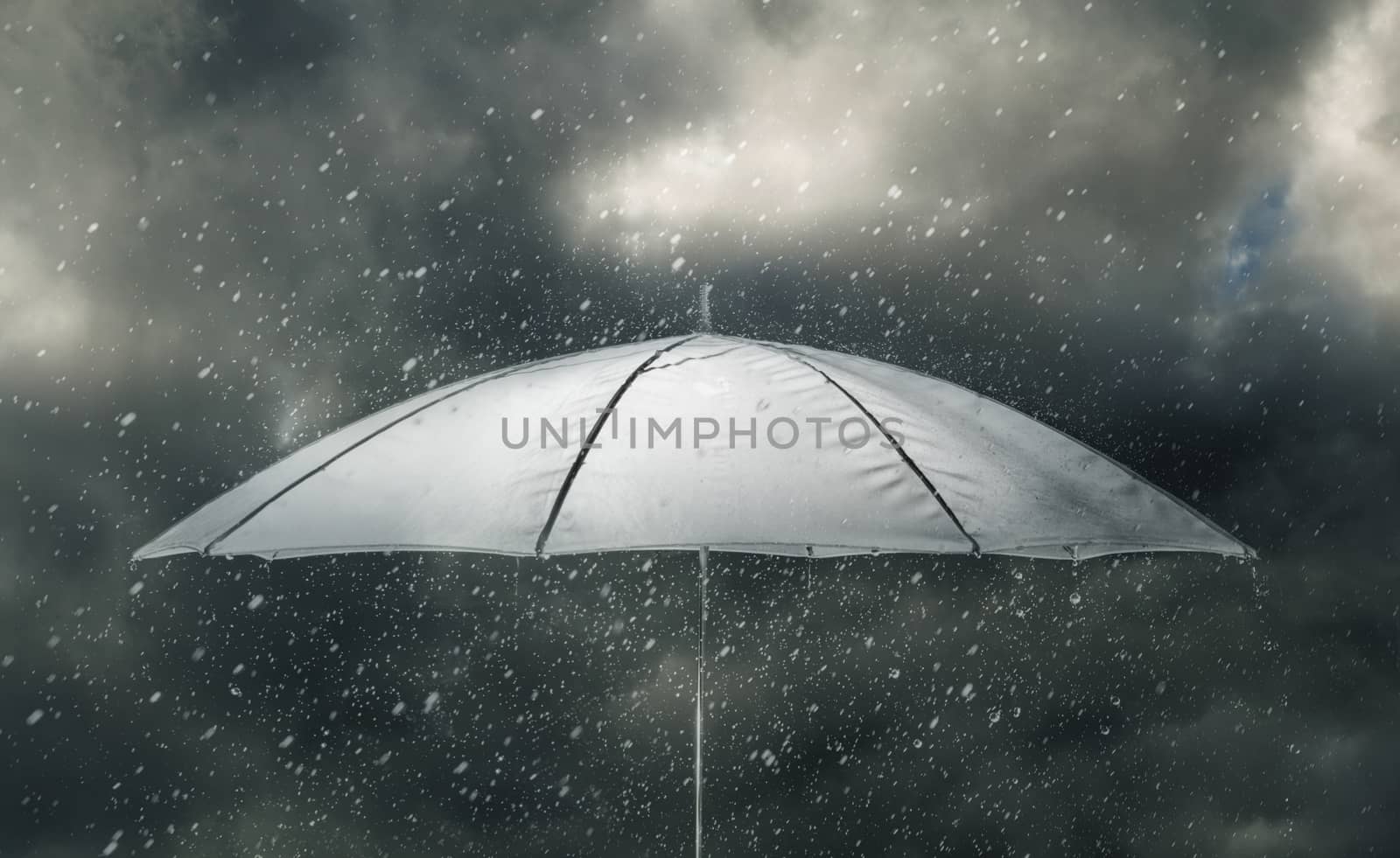 Umbrella under raindrops of thunderstorm