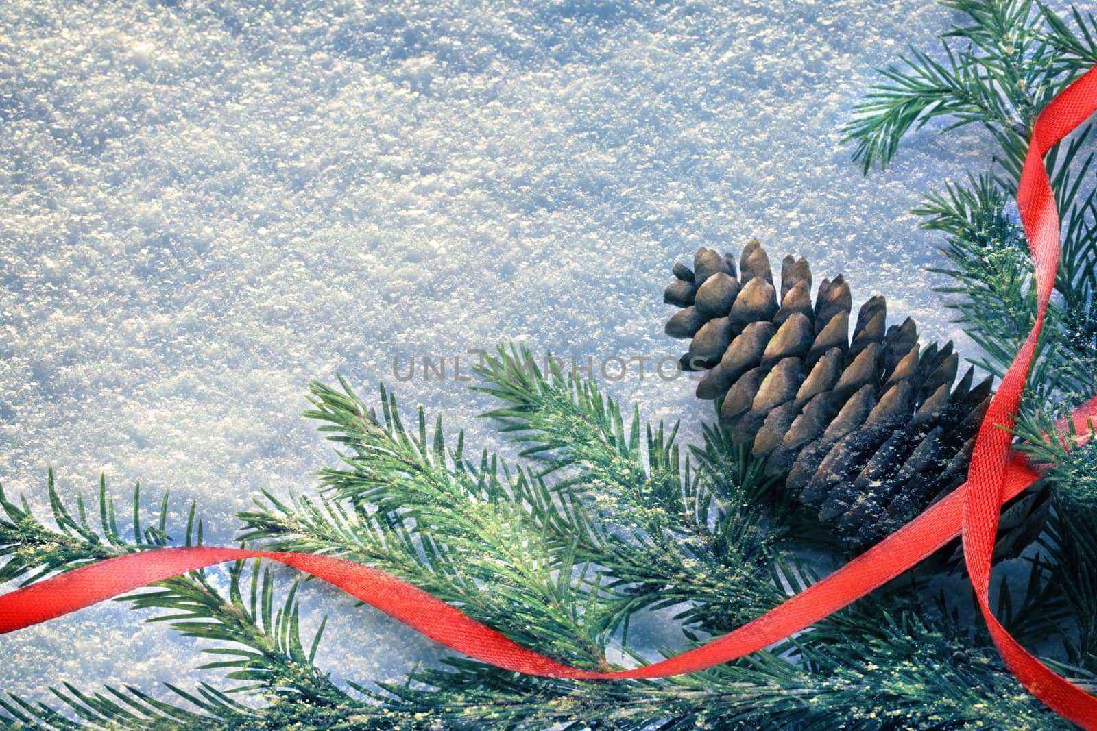 Background with fir and cone on wood