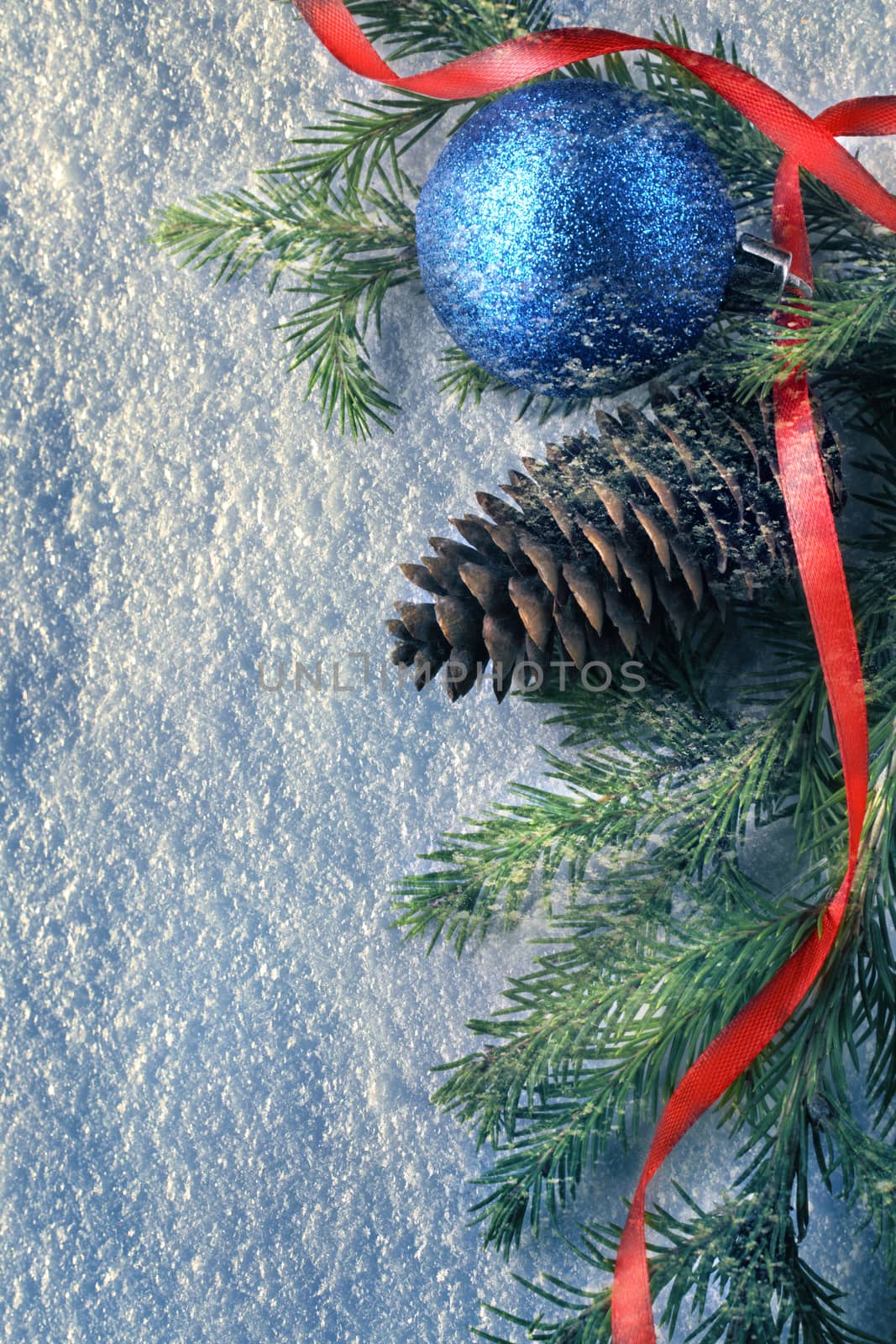 Background with fir and cone