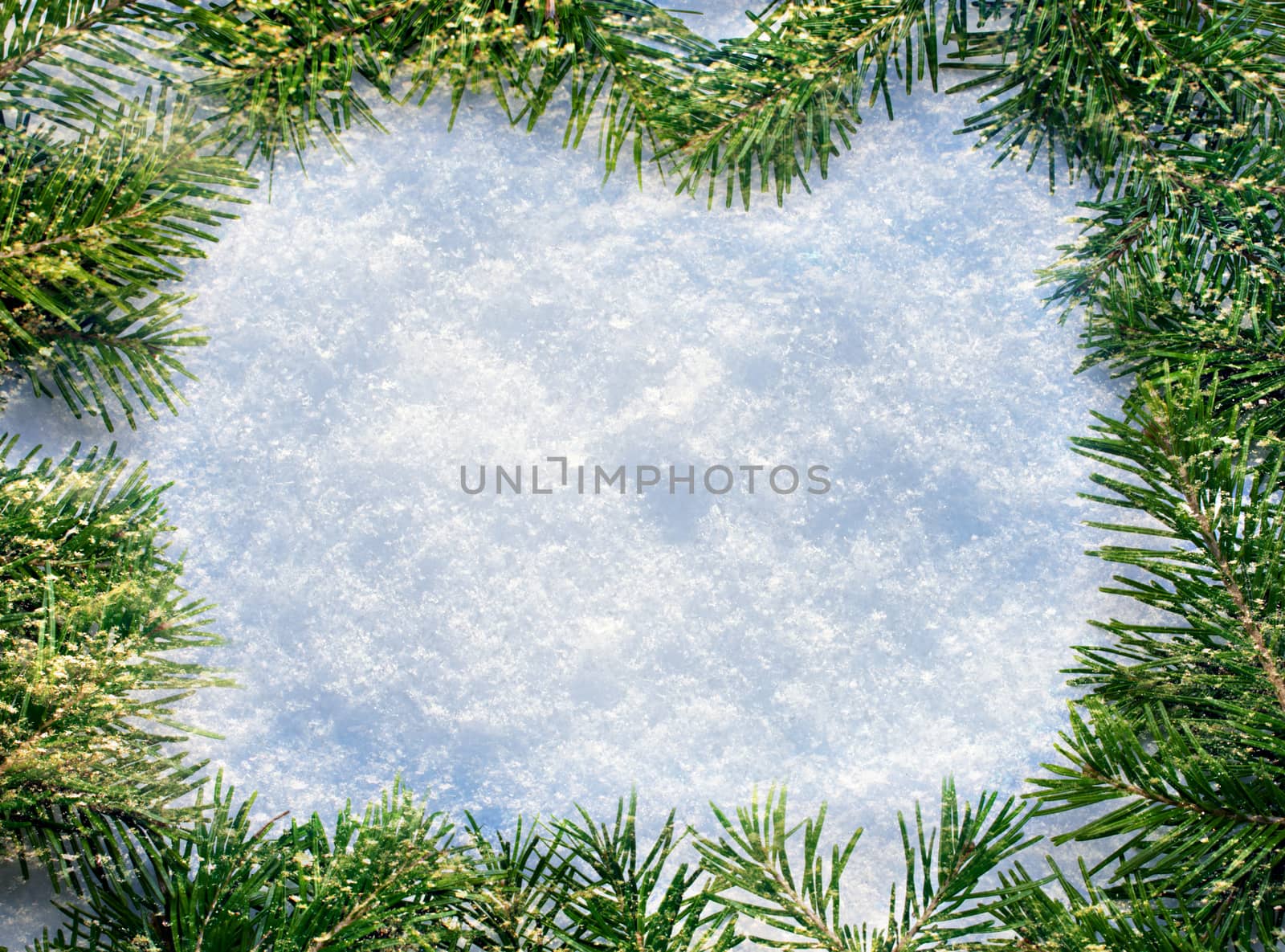 Christmas decoration on white snow