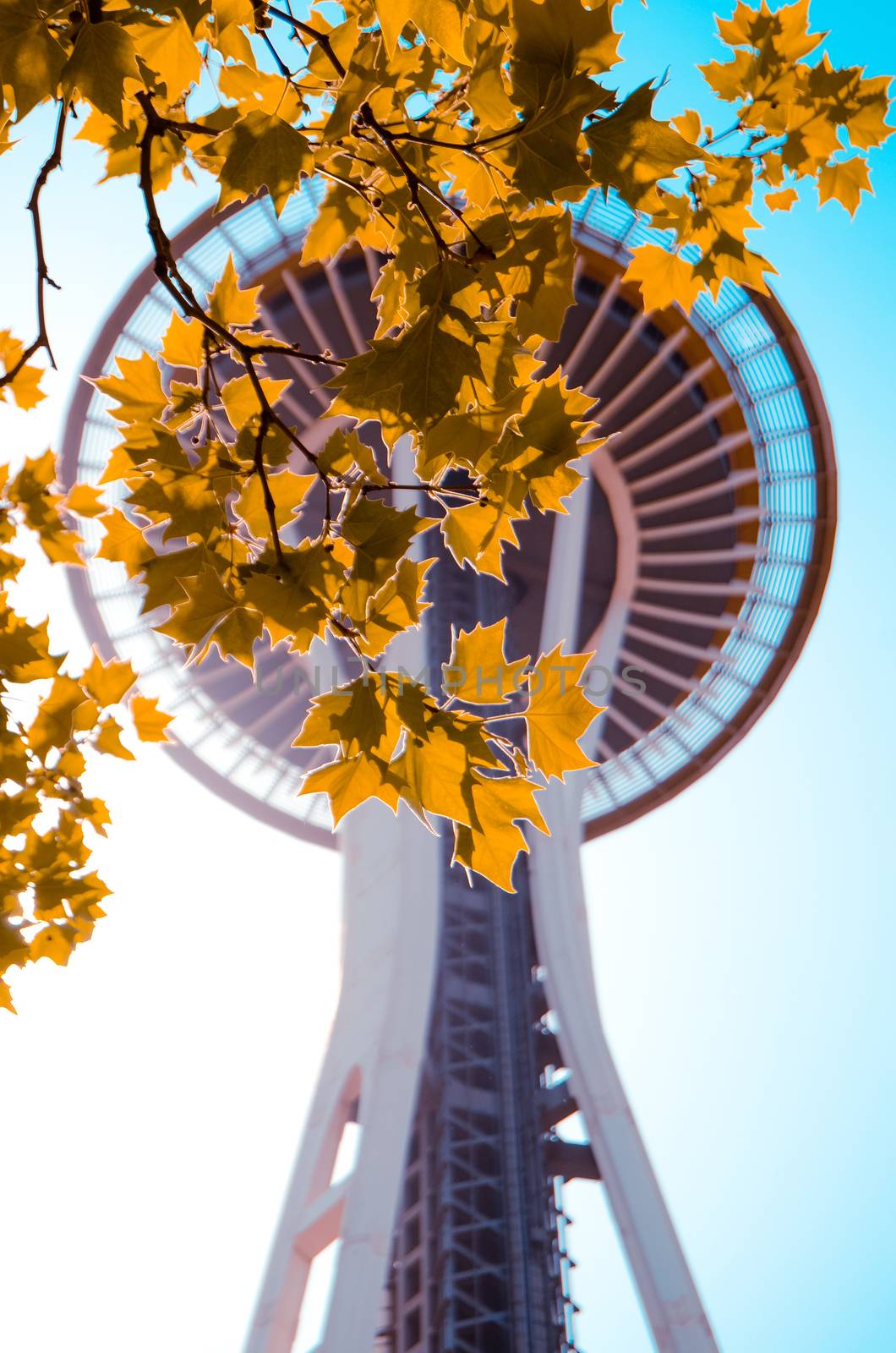 Retro Filtered Photo Of The Seattle Space Needle In The Autumn Or Fall