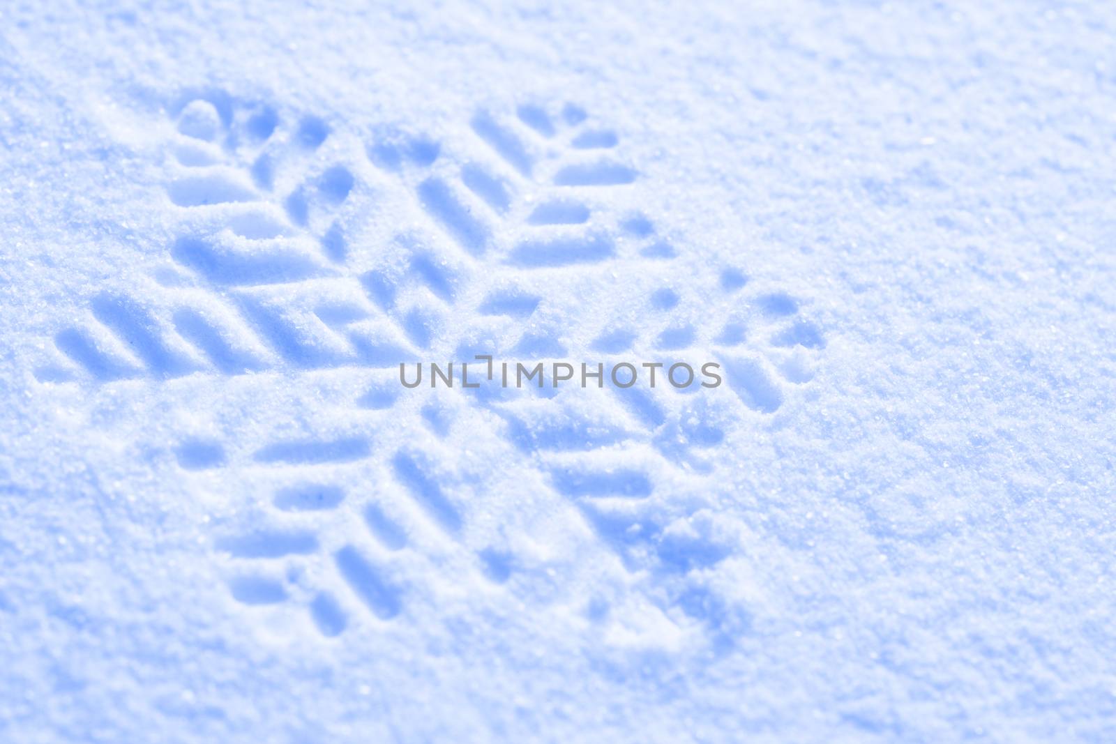 snowflake against a background of snow by anelina