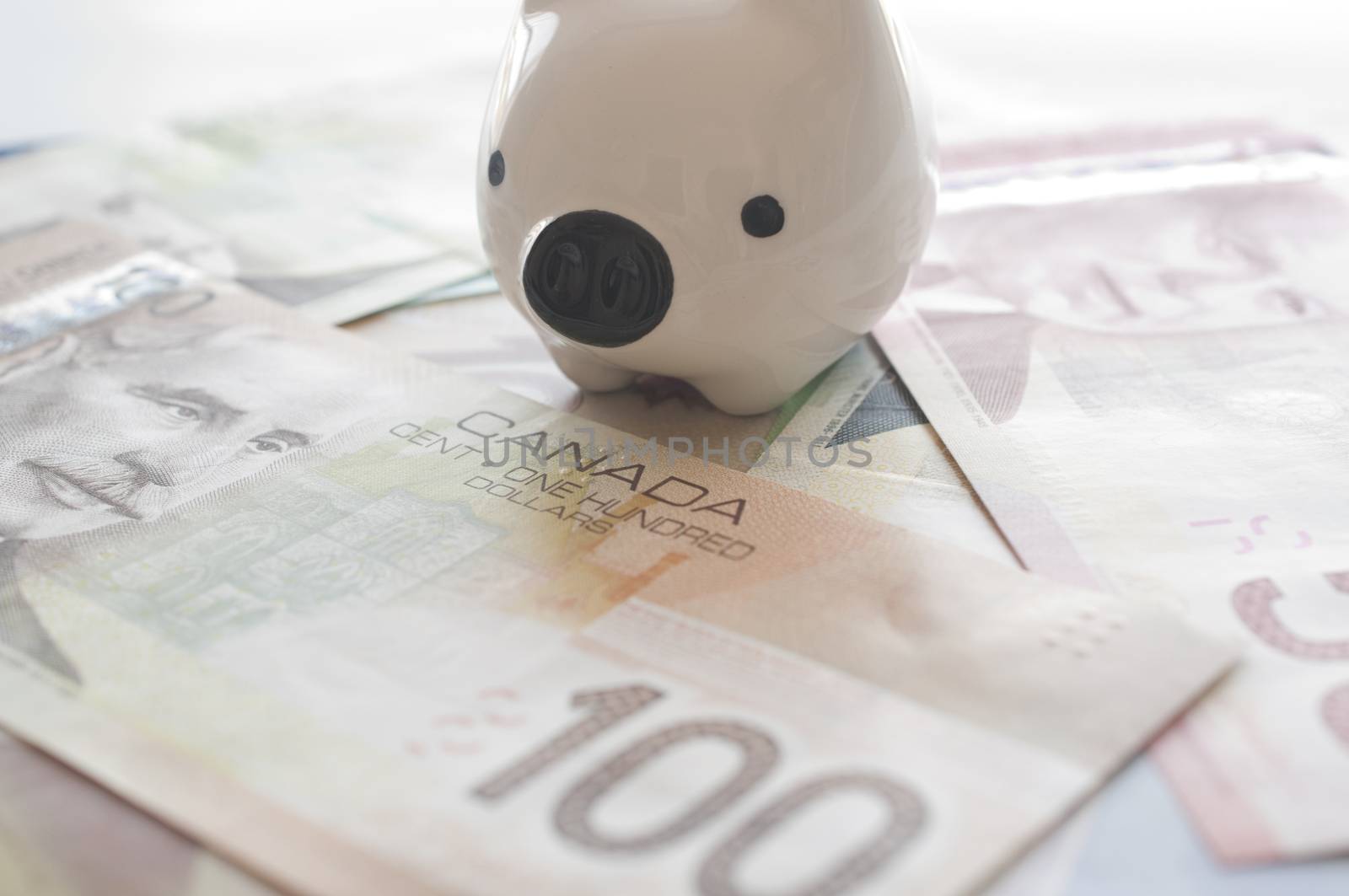 Piggy bank on Canadian money background