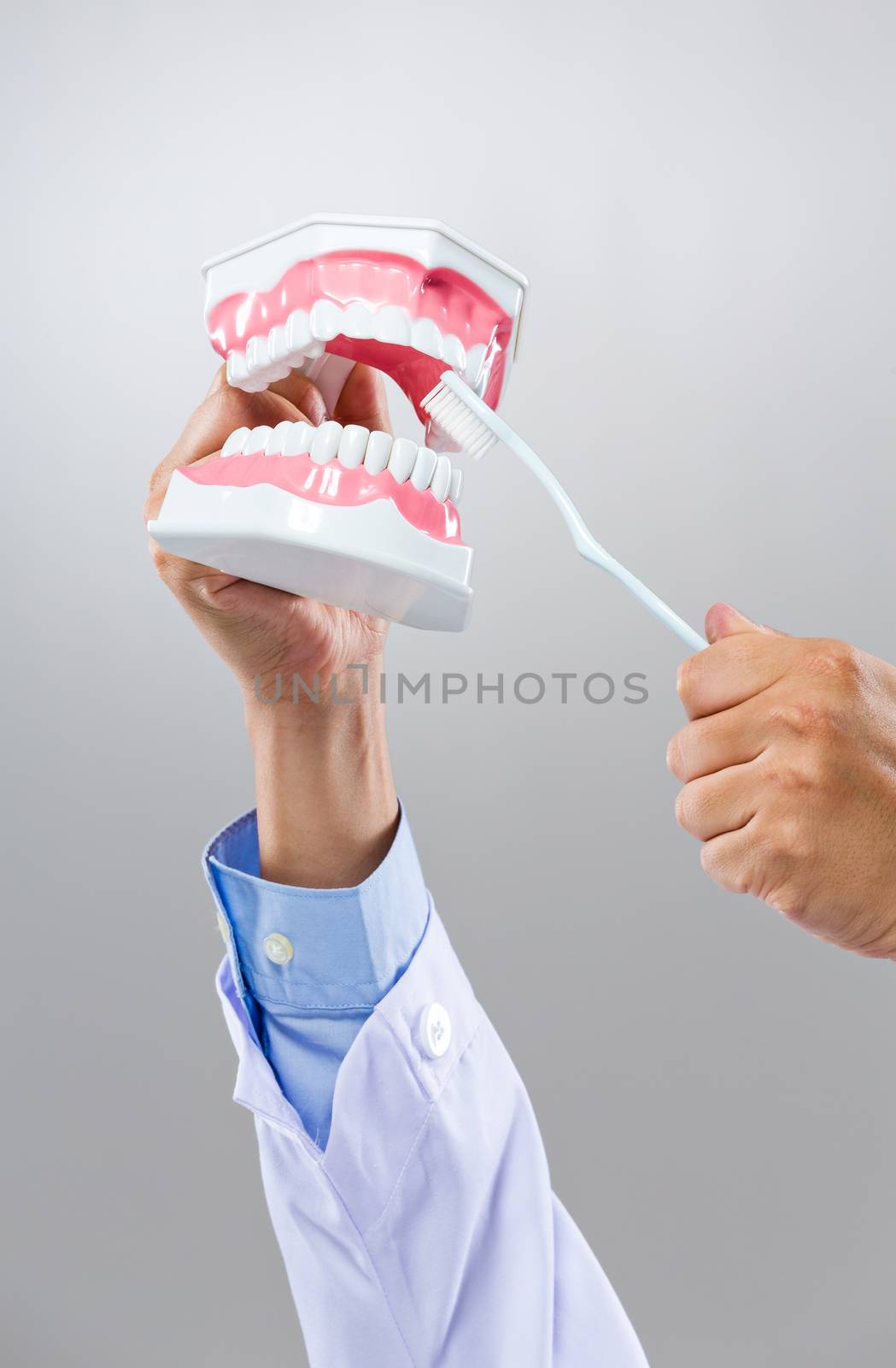 Dentist hold with denture and toothbrush by leungchopan
