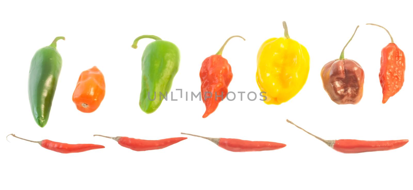 beautiful variety of american chilli in a white background