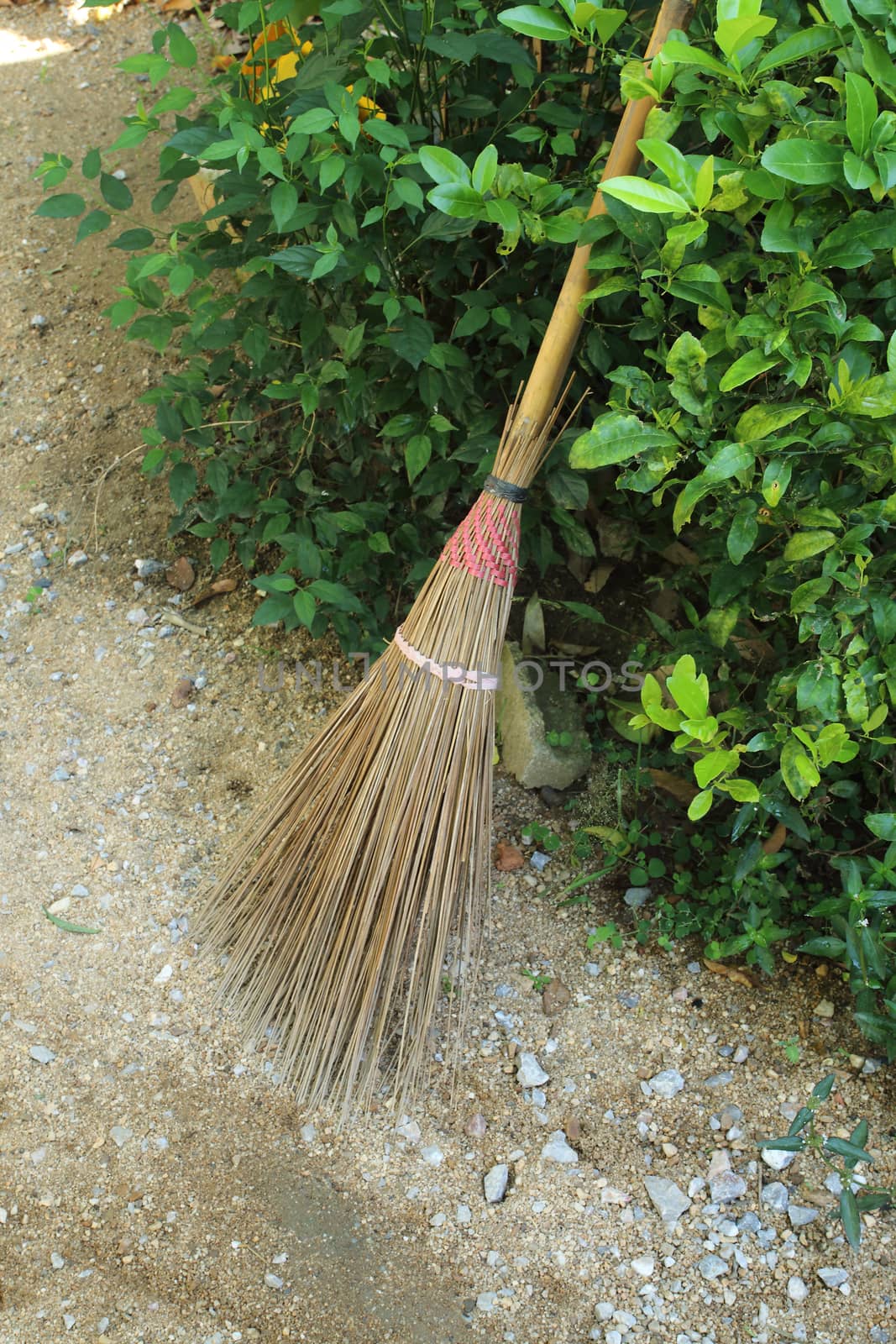 broomstick in shrub by kaidevil