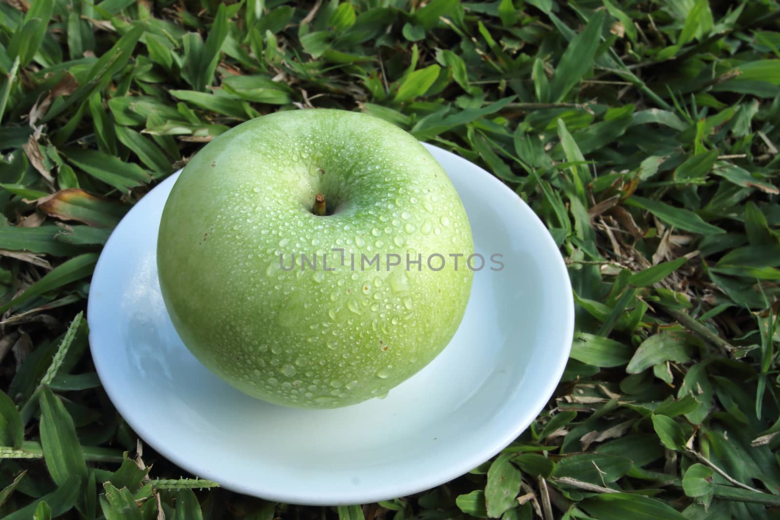 green apple on white dish by kaidevil