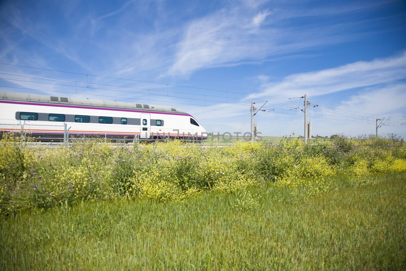 high speed train over flowers in a landscape from Spain