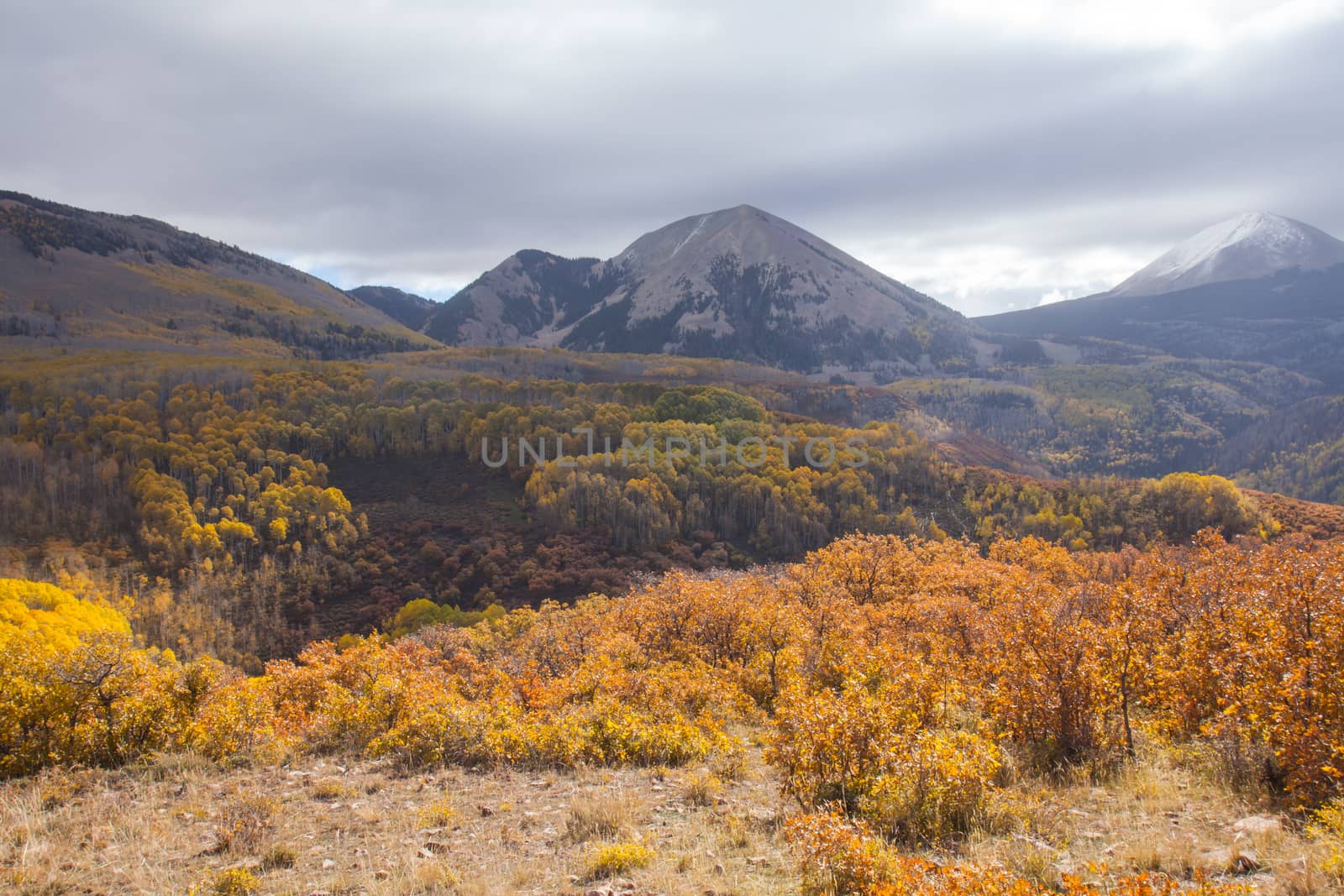 Manti La Sal National Forest with the La Sal Mountains on the horizon