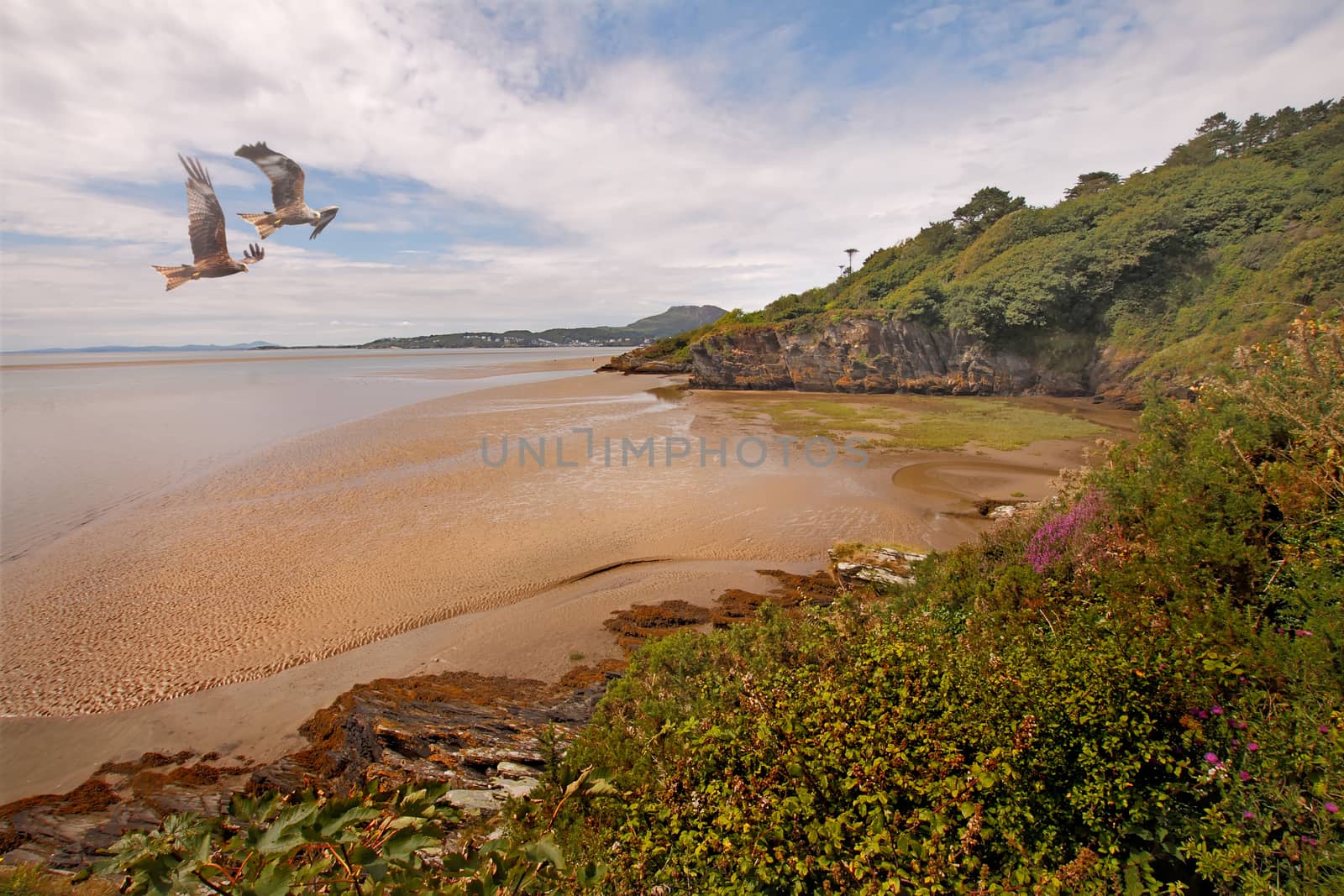 The Estuary near Portmeirion is called Traeth Bach and flows into Tremadog Bay in North Wales, UK.