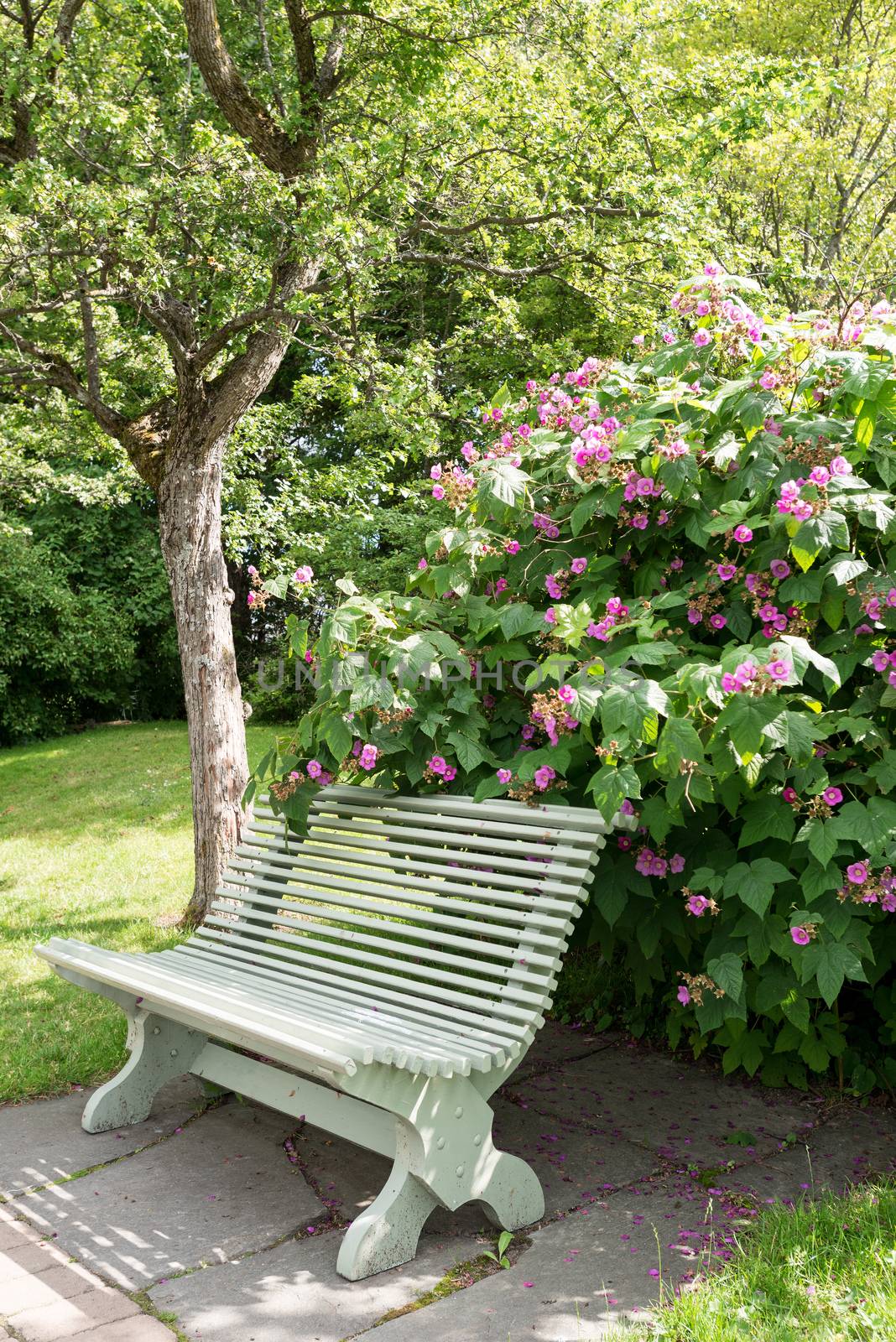 Lone bench in summer park vertical by Nanisimova