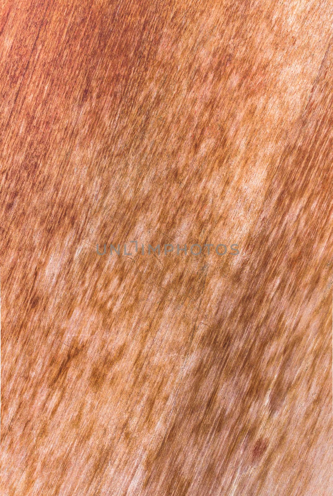 Hight resolution natural woodgrain texture background by nopparats