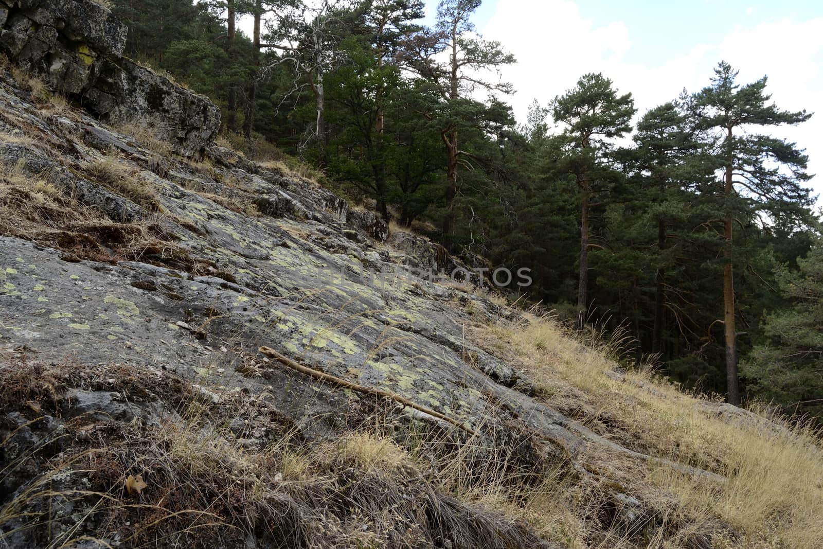 El chorro de Navafria, little mountain river