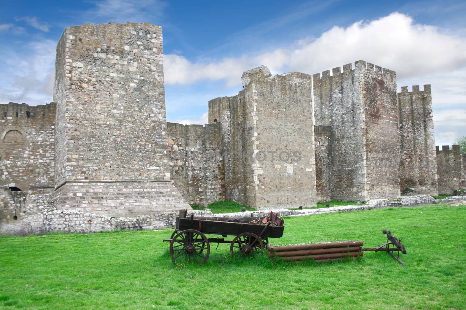 Smederevo fortress on Danube in Serbia by Garsya