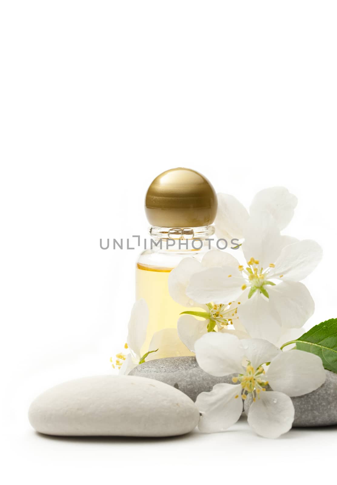 Apple tree flowers, stones and shampoo by Garsya