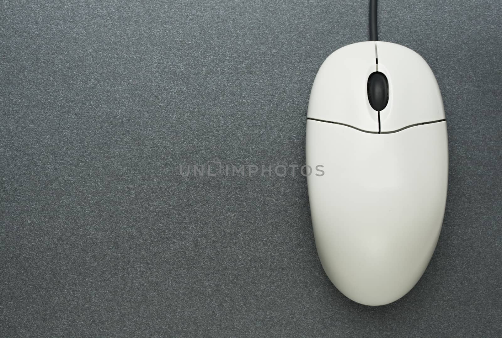 Computer mouse on grey background