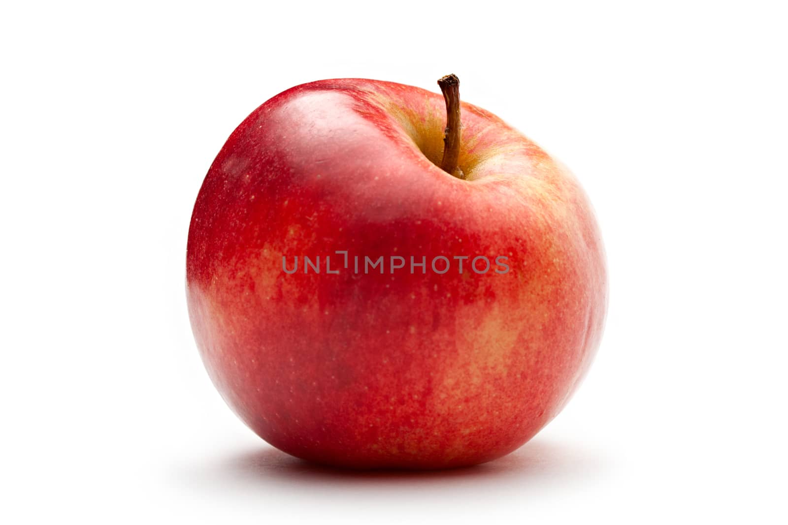 Red apple on the white