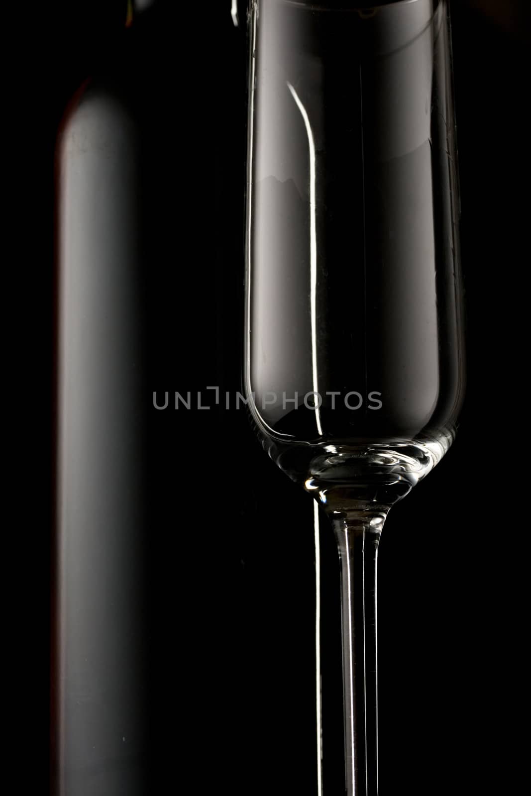 Bottle of wine and empty glass